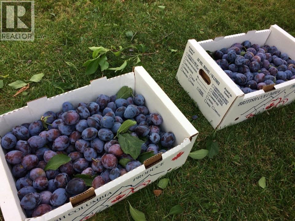 7630 97a Highway, Mara, British Columbia  V0E 2K0 - Photo 54 - 10370680