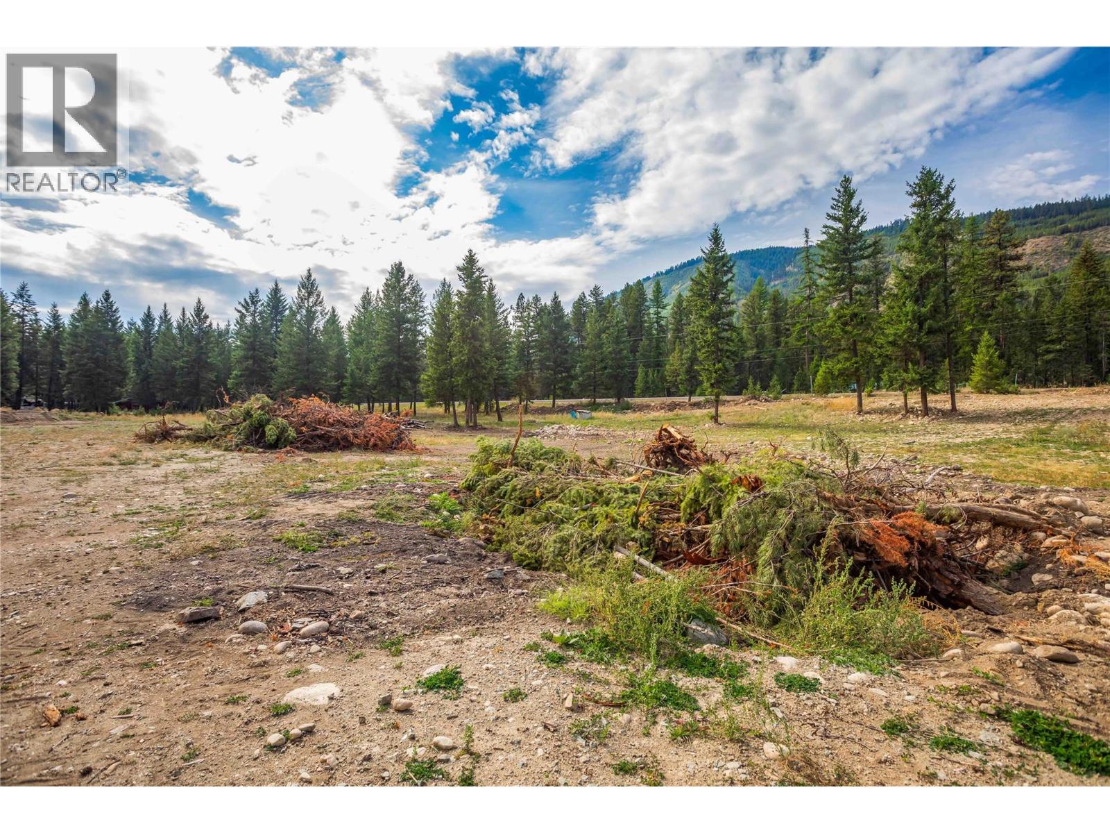 6386 Highway 33 Highway, Beaverdell, British Columbia  V0H 1A0 - Photo 12 - 10370452