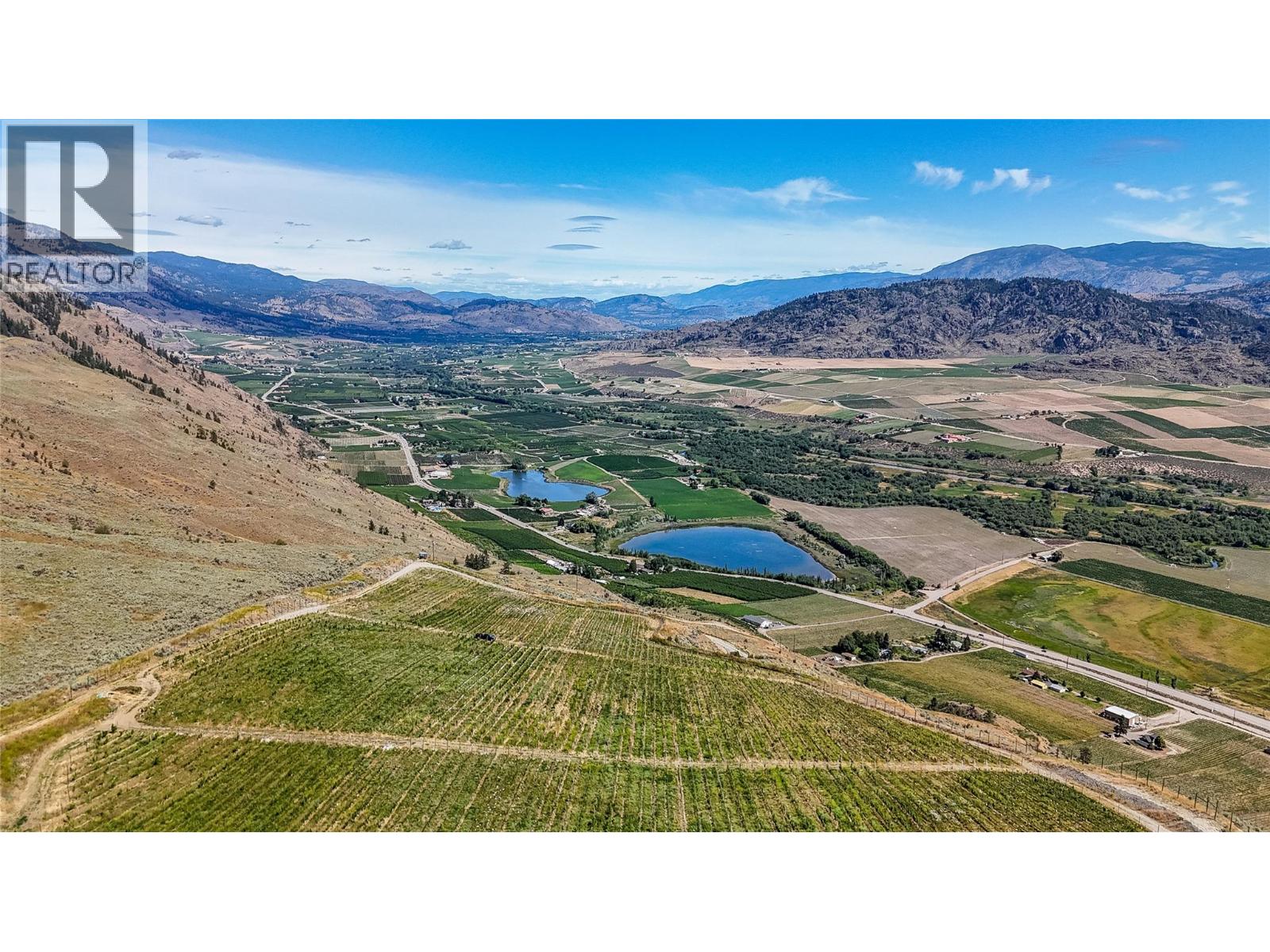 3668 Fruitvale Way, Oliver, British Columbia  V0H 1T0 - Photo 11 - 10370804