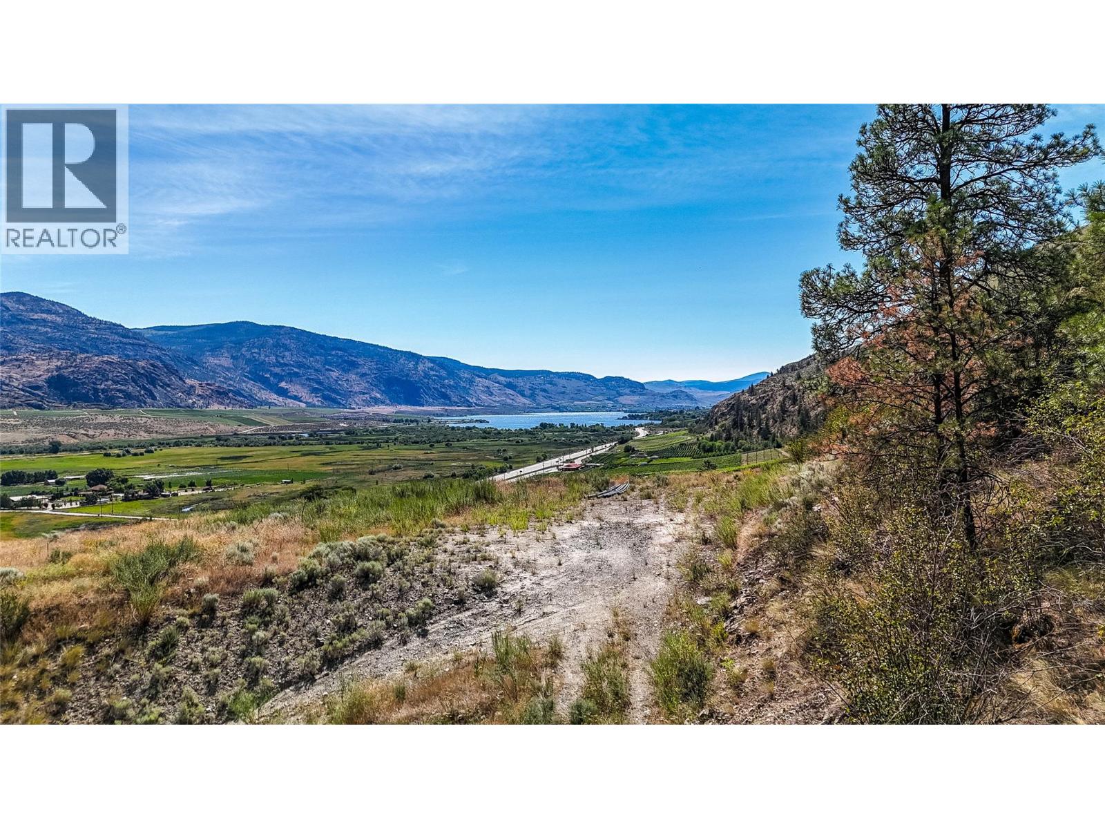 3668 Fruitvale Way, Oliver, British Columbia  V0H 1T0 - Photo 3 - 10370804