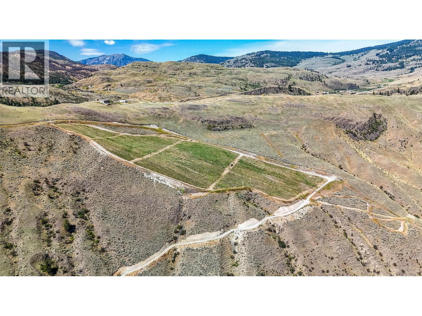 3668 Fruitvale Way, Oliver, British Columbia  V0H 1T0 - Photo 6 - 10370804