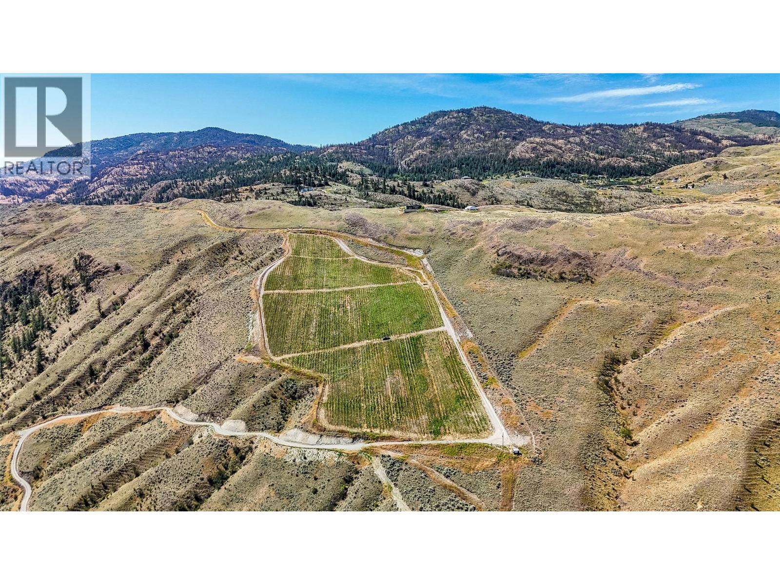 3668 Fruitvale Way, Oliver, British Columbia  V0H 1T0 - Photo 8 - 10370804