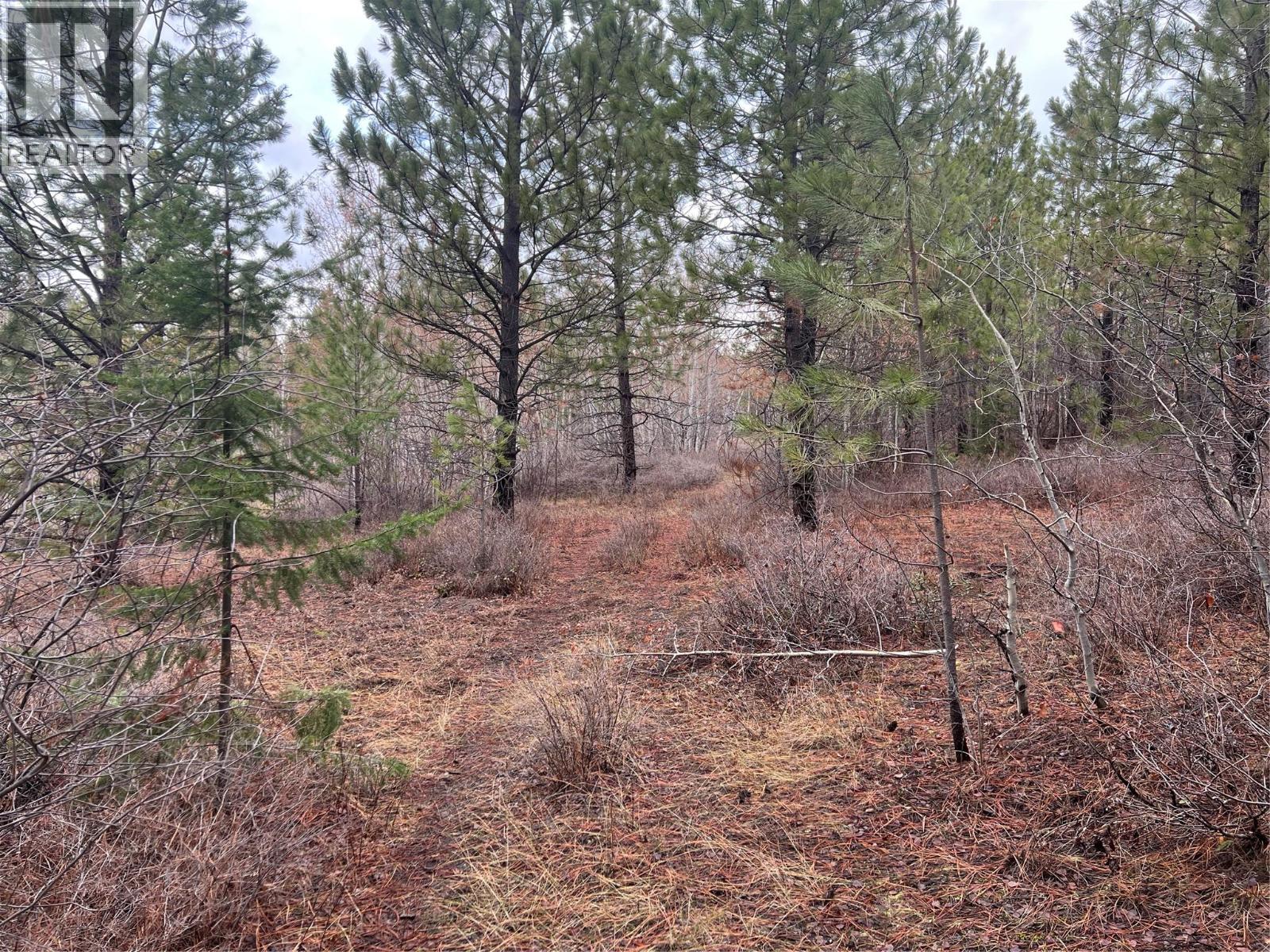 2457 Coldwater Road Unit# Lot 9, Merritt, British Columbia  V1K 1B8 - Photo 10 - 10370645