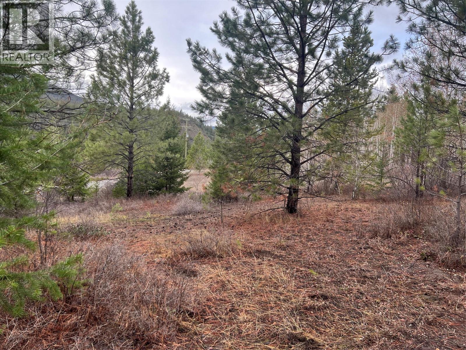 2457 Coldwater Road Unit# Lot 9, Merritt, British Columbia  V1K 1B8 - Photo 11 - 10370645