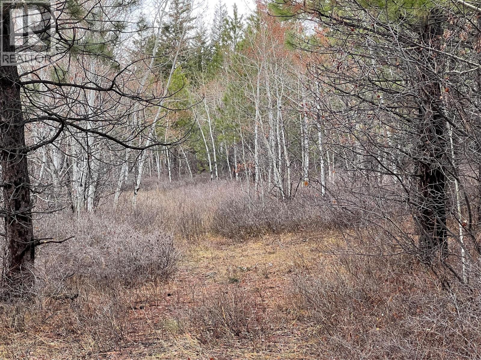 2457 Coldwater Road Unit# Lot 9, Merritt, British Columbia  V1K 1B8 - Photo 12 - 10370645