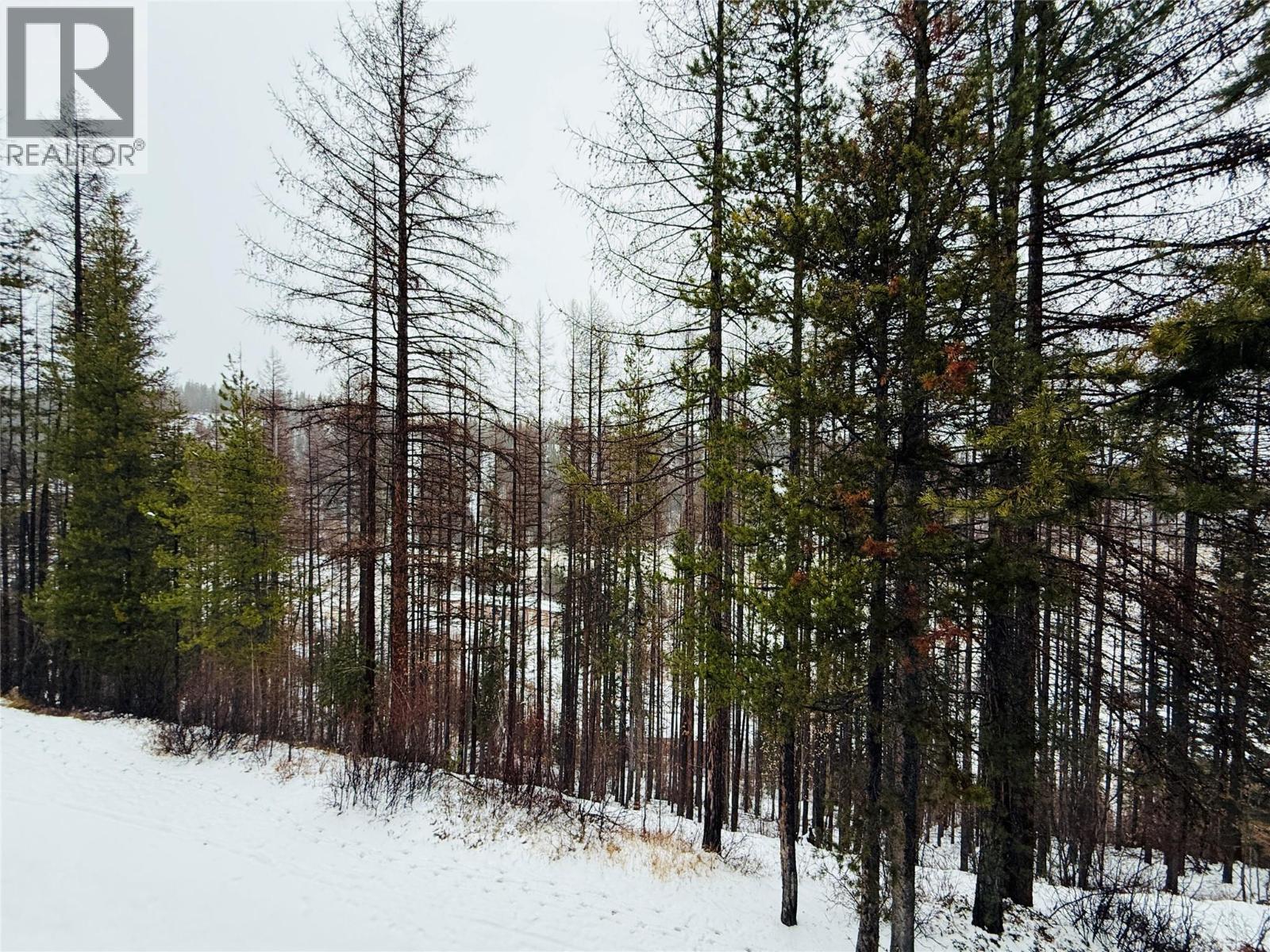 300 Stemwinder Drive Unit# 210, Kimberley, British Columbia  V1A 2Y5 - Photo 39 - 10370356