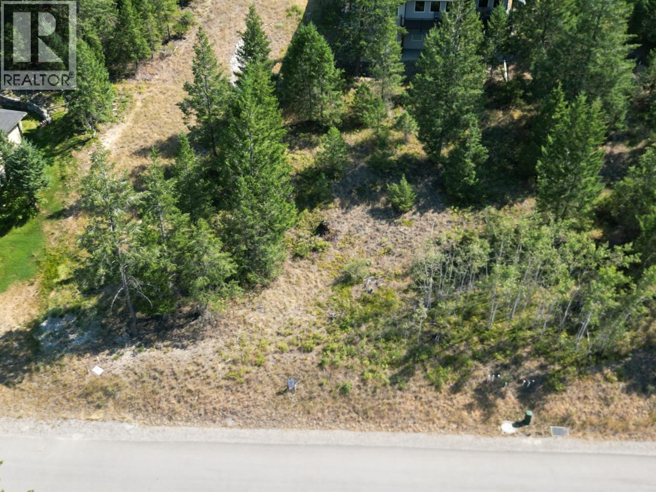 7058 White Tail Lane Lot# 19, Radium Hot Springs, British Columbia  V0A 1M0 - Photo 2 - 10370824