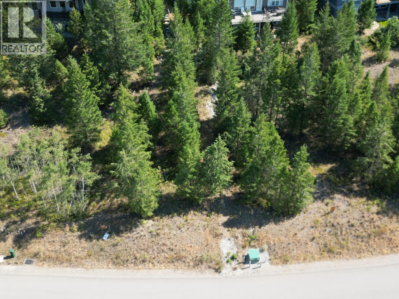 7058 White Tail Lane Lot# 19, Radium Hot Springs, British Columbia  V0A 1M0 - Photo 3 - 10370824