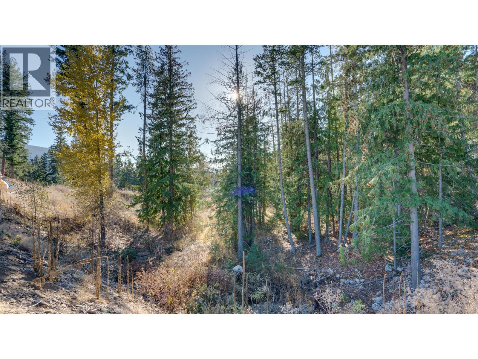 2086 Yankee Flats Road, Salmon Arm, British Columbia  V1E 3J3 - Photo 75 - 10370802