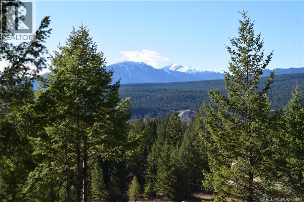 7041 White Tail Lane Lot# 23, Radium Hot Springs, British Columbia  V0A 1M0 - Photo 6 - 10370865