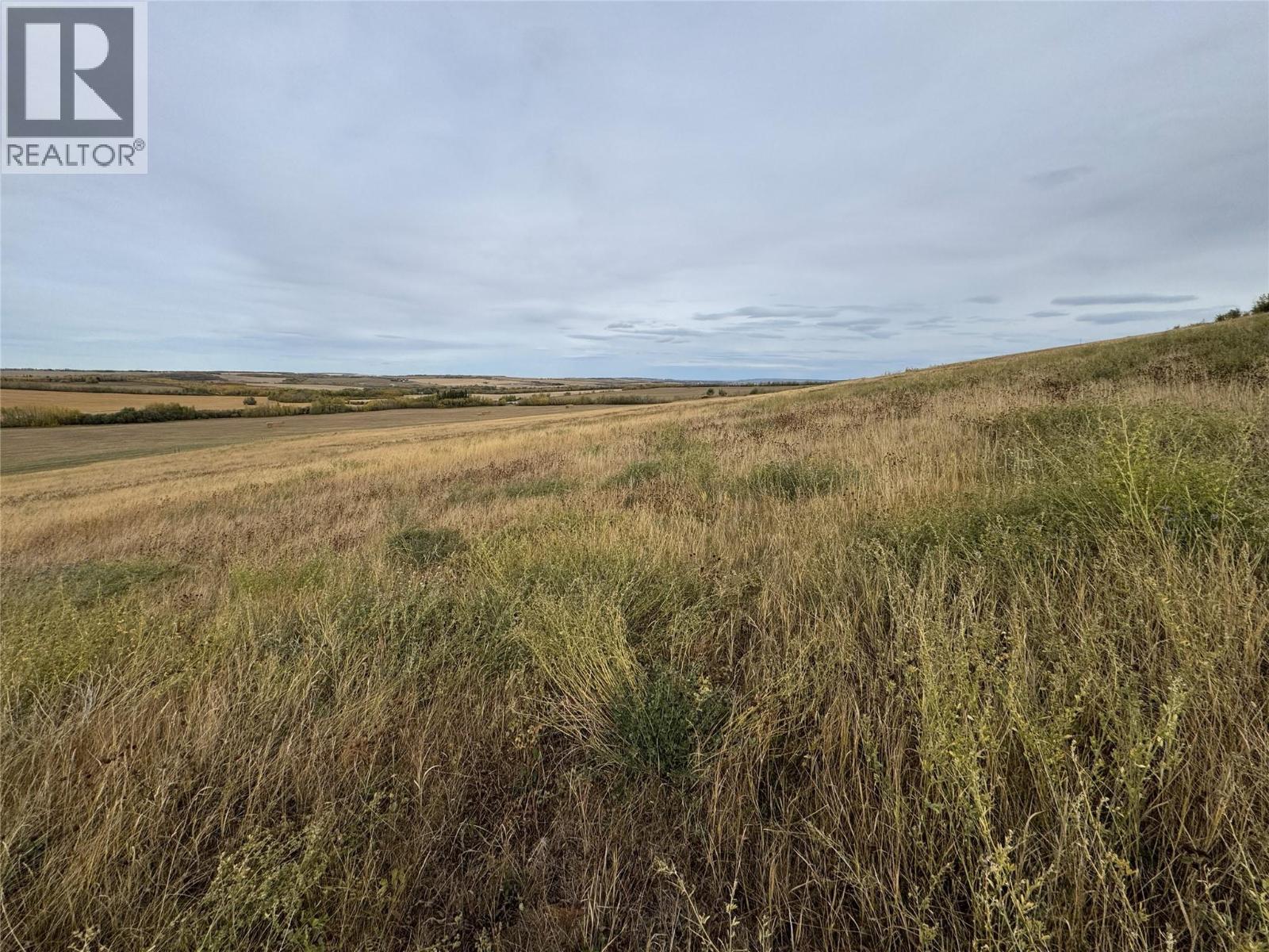 206 Road Lot# 3, Dawson Creek, British Columbia  V1G 0C2 - Photo 10 - 10370958