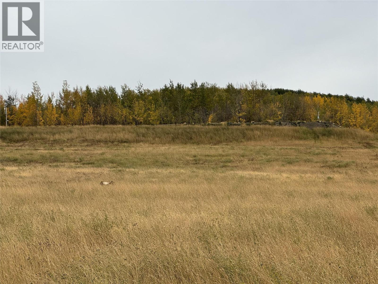 206 Road Lot# 3, Dawson Creek, British Columbia  V1G 0C2 - Photo 11 - 10370958