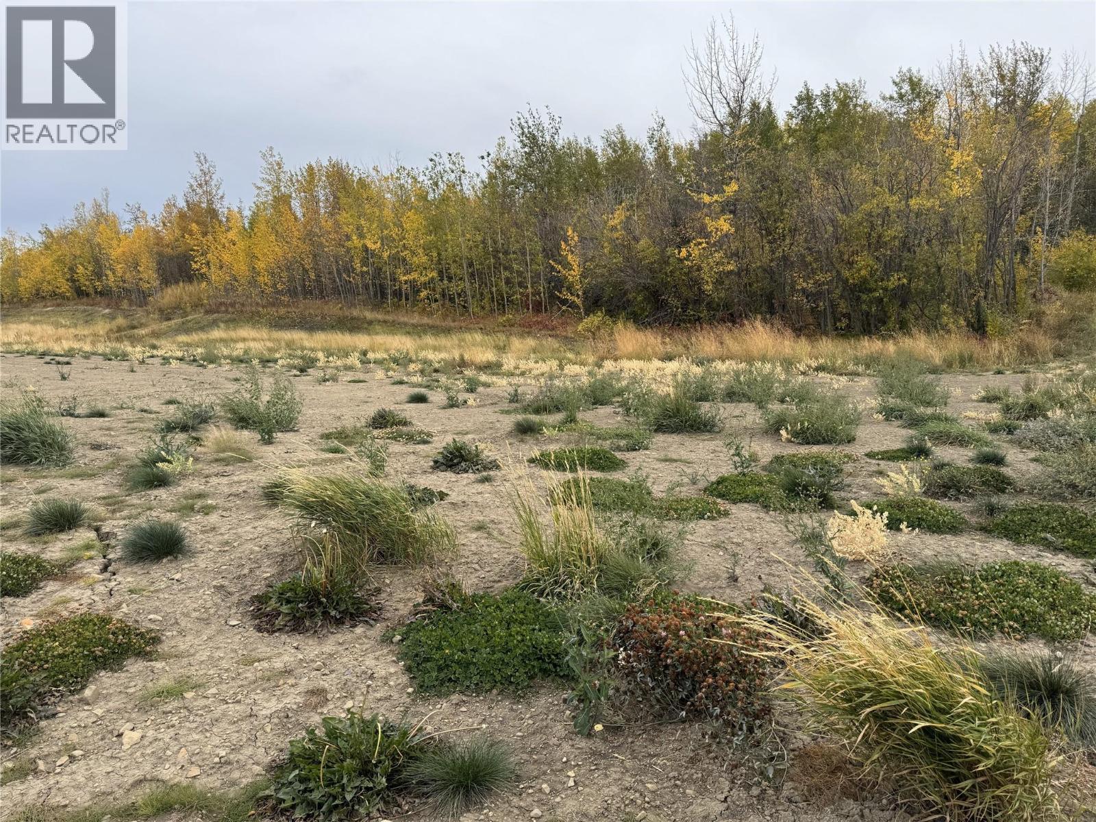 206 Road Lot# 3, Dawson Creek, British Columbia  V1G 0C2 - Photo 4 - 10370958