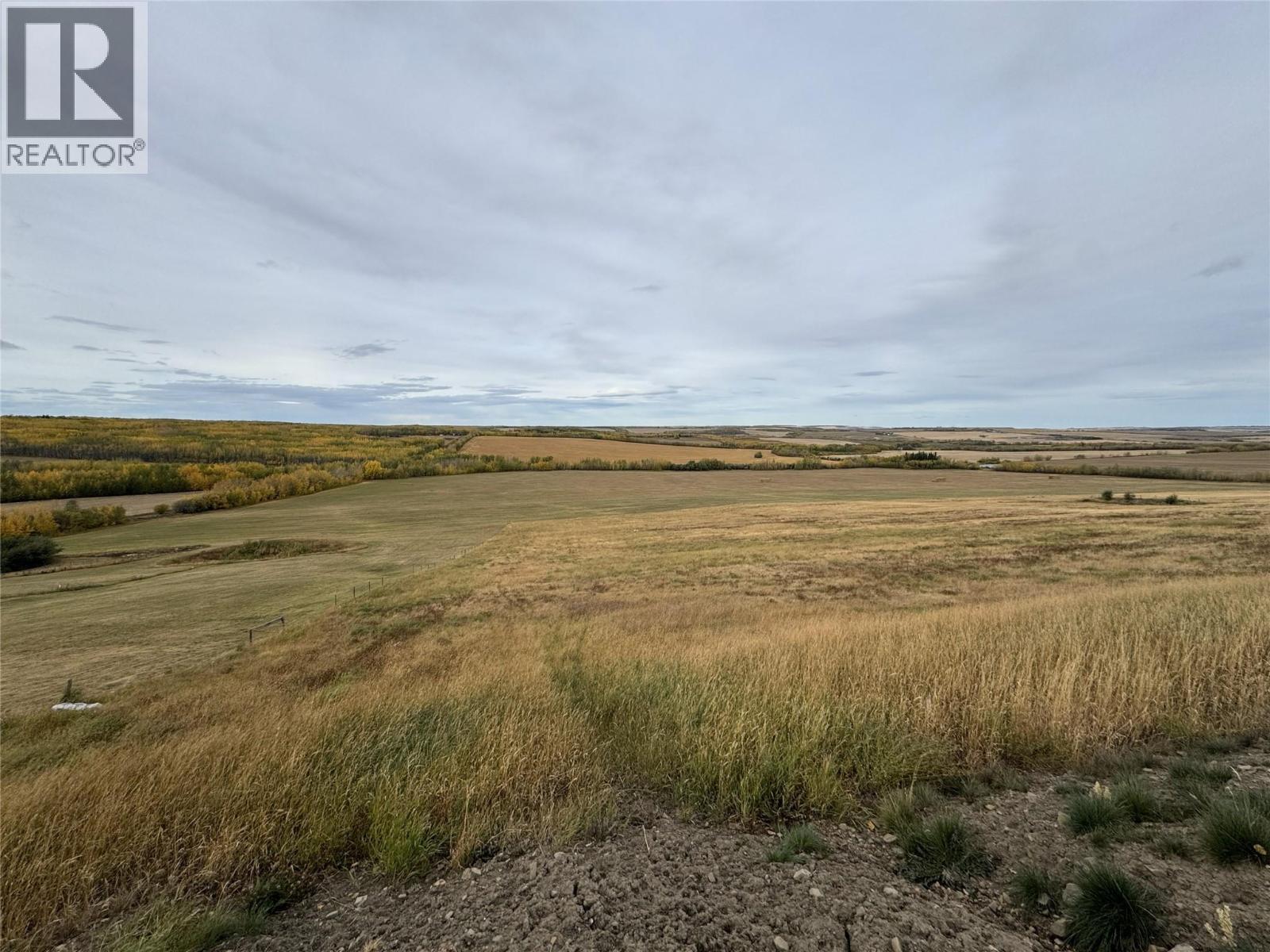 206 Road Lot# 3, Dawson Creek, British Columbia  V1G 0C2 - Photo 7 - 10370958