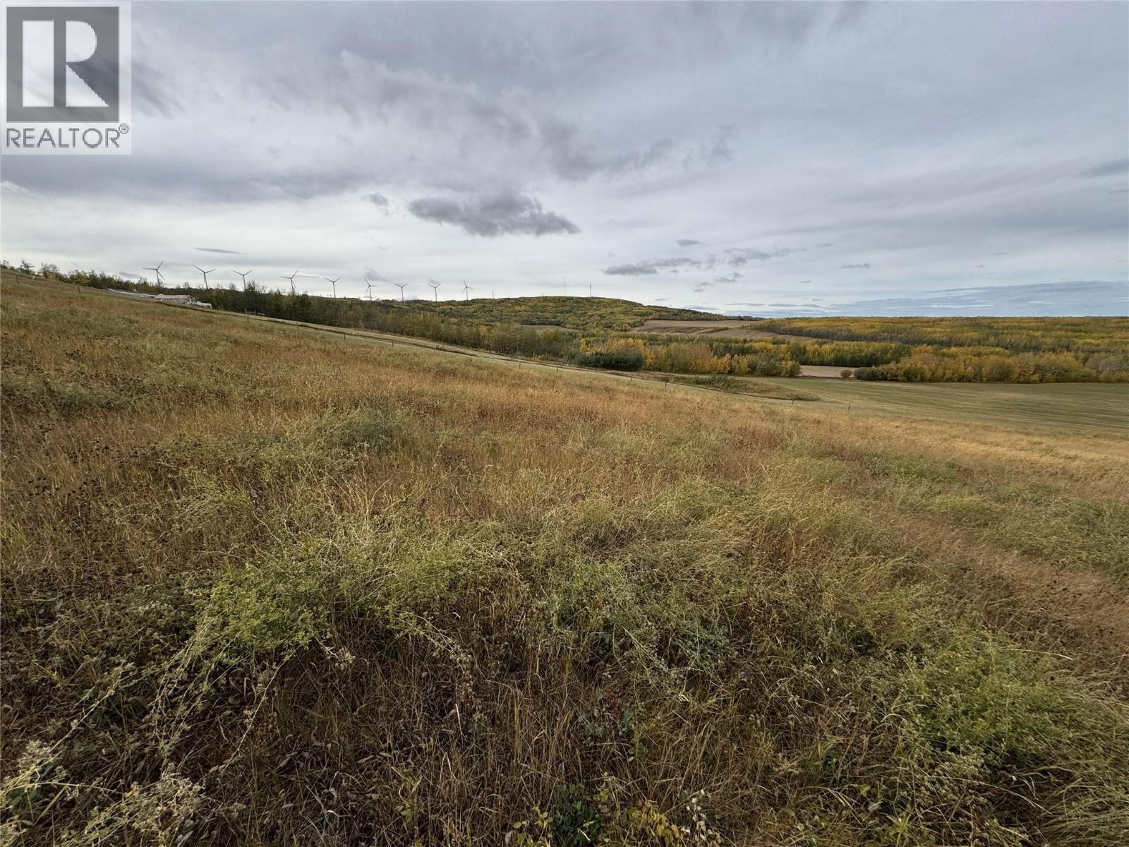 206 Road Lot# 3, Dawson Creek, British Columbia  V1G 0C2 - Photo 8 - 10370958