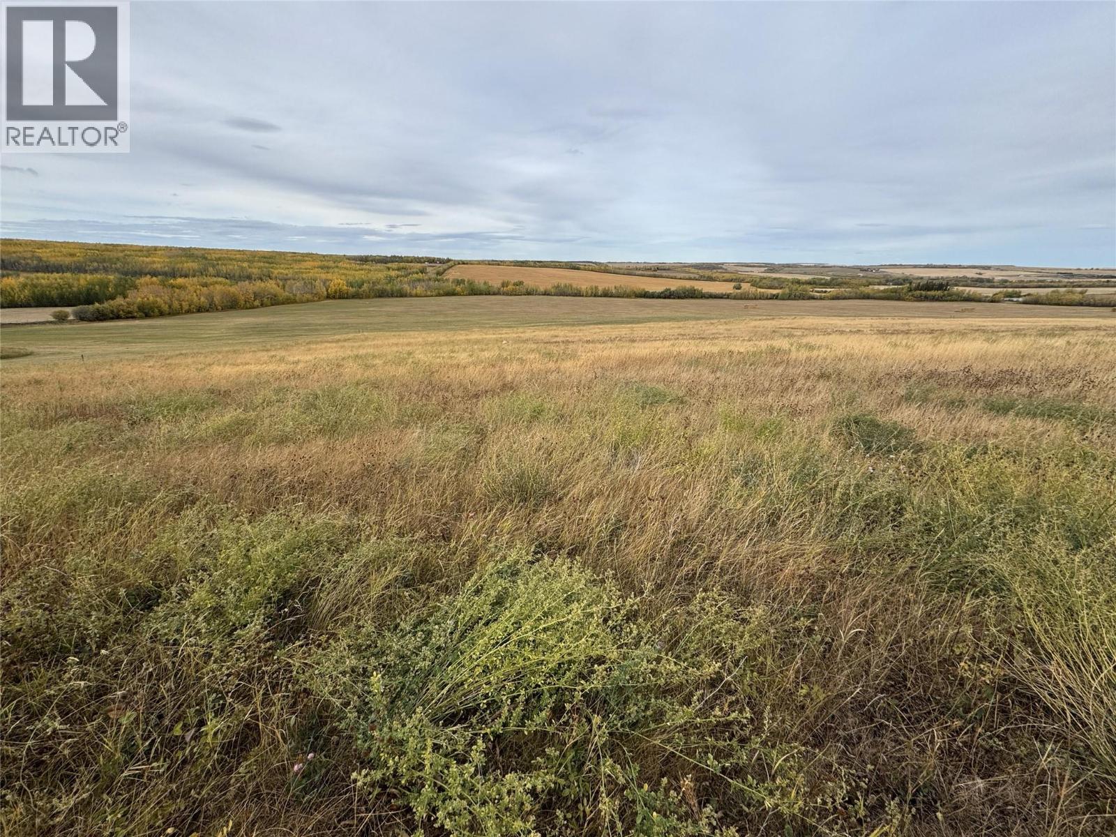 206 Road Lot# 3, Dawson Creek, British Columbia  V1G 0C2 - Photo 9 - 10370958