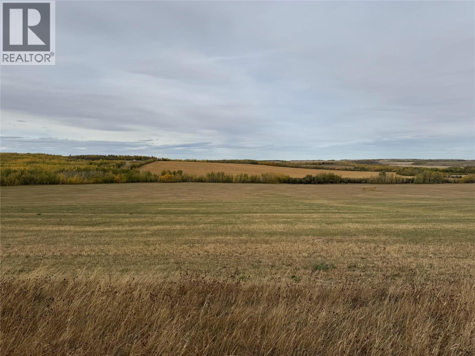 206 Road Lot# 4, Dawson Creek, British Columbia  V1G 0C2 - Photo 10 - 10370961