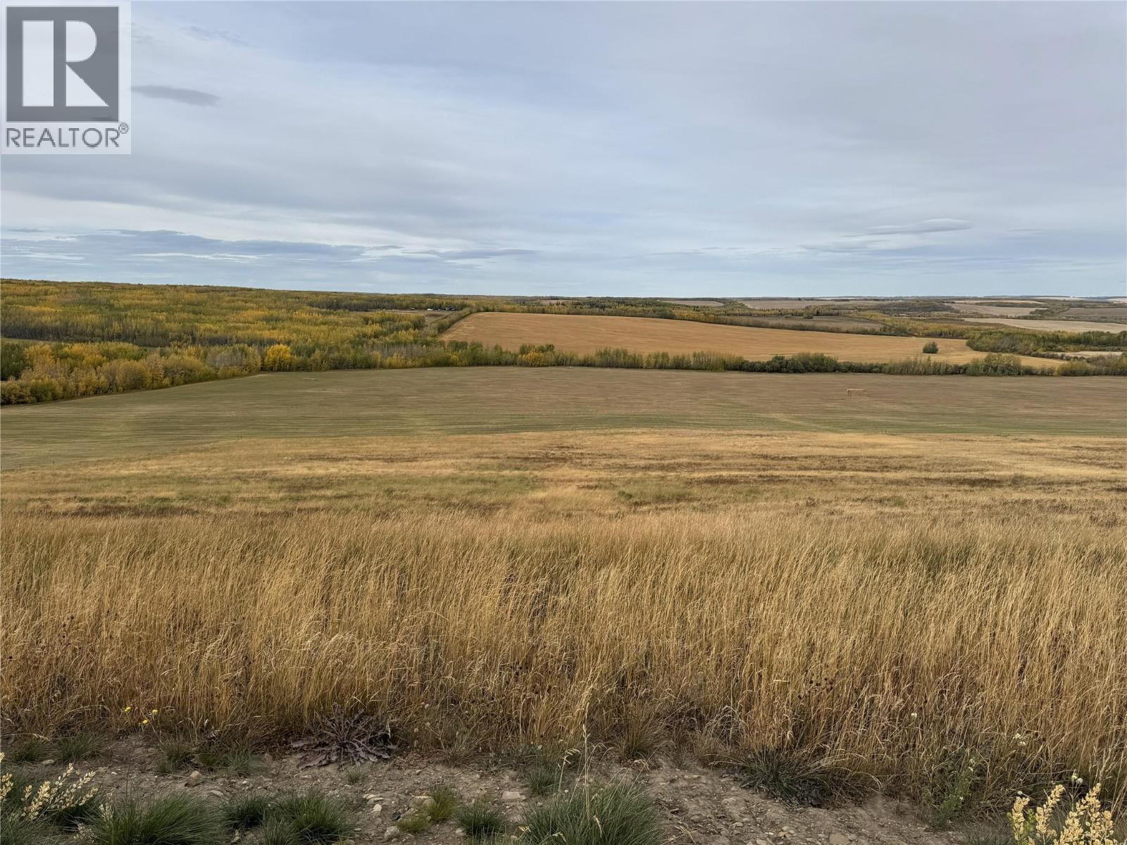 206 Road Lot# 4, Dawson Creek, British Columbia  V1G 0C2 - Photo 5 - 10370961