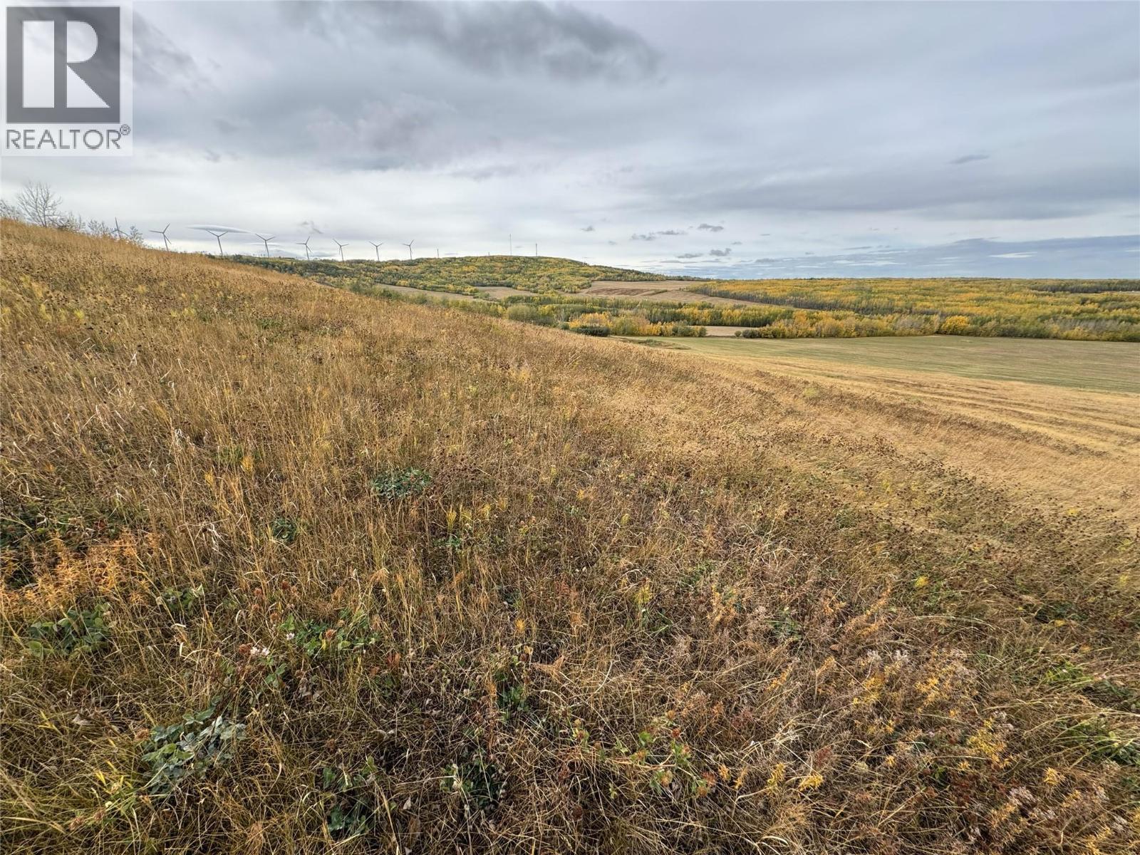 206 Road Lot# 4, Dawson Creek, British Columbia  V1G 0C2 - Photo 6 - 10370961