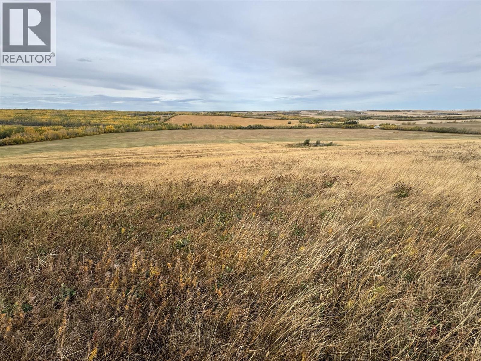 206 Road Lot# 4, Dawson Creek, British Columbia  V1G 0C2 - Photo 7 - 10370961