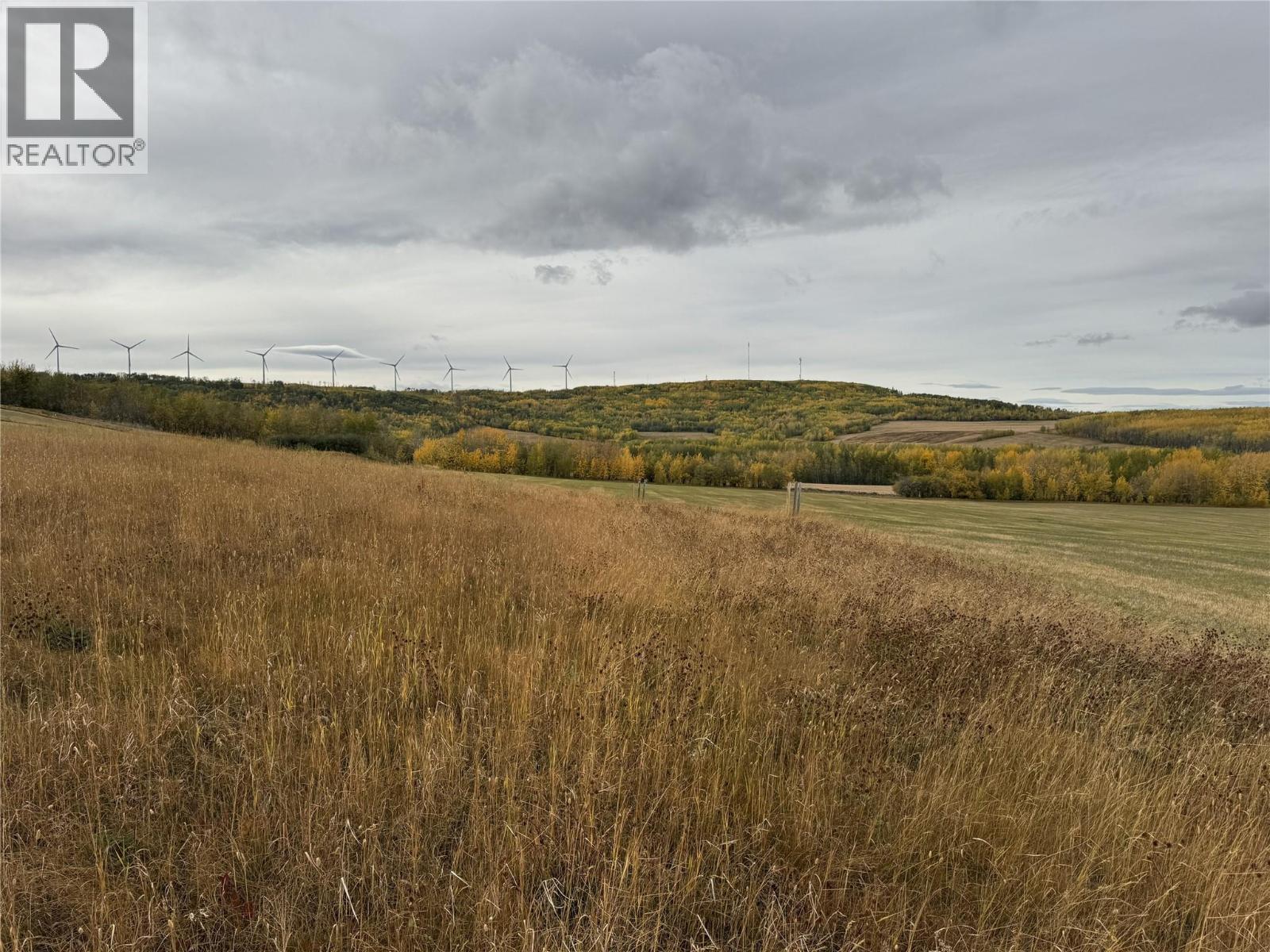 206 Road Lot# 4, Dawson Creek, British Columbia  V1G 0C2 - Photo 9 - 10370961