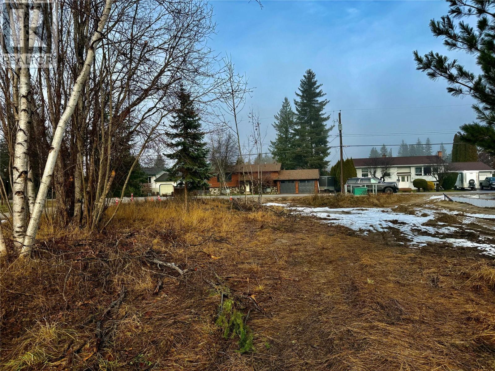 719 Parksville Street, Sicamous, British Columbia  V0E 2V0 - Photo 3 - 10366356