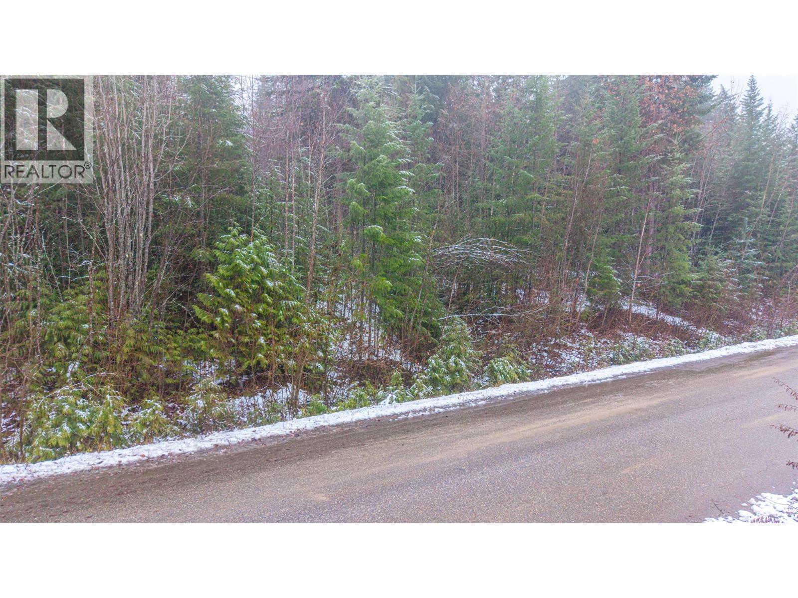 Lot 74 Sunset Drive, Eagle Bay, British Columbia  V0E 1T0 - Photo 31 - 10371006