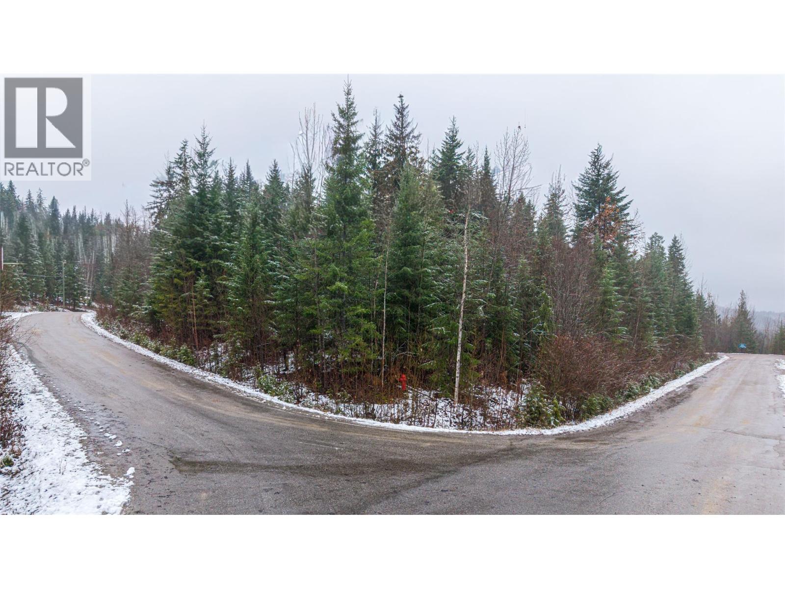 Lot 74 Sunset Drive, Eagle Bay, British Columbia  V0E 1T0 - Photo 4 - 10371006