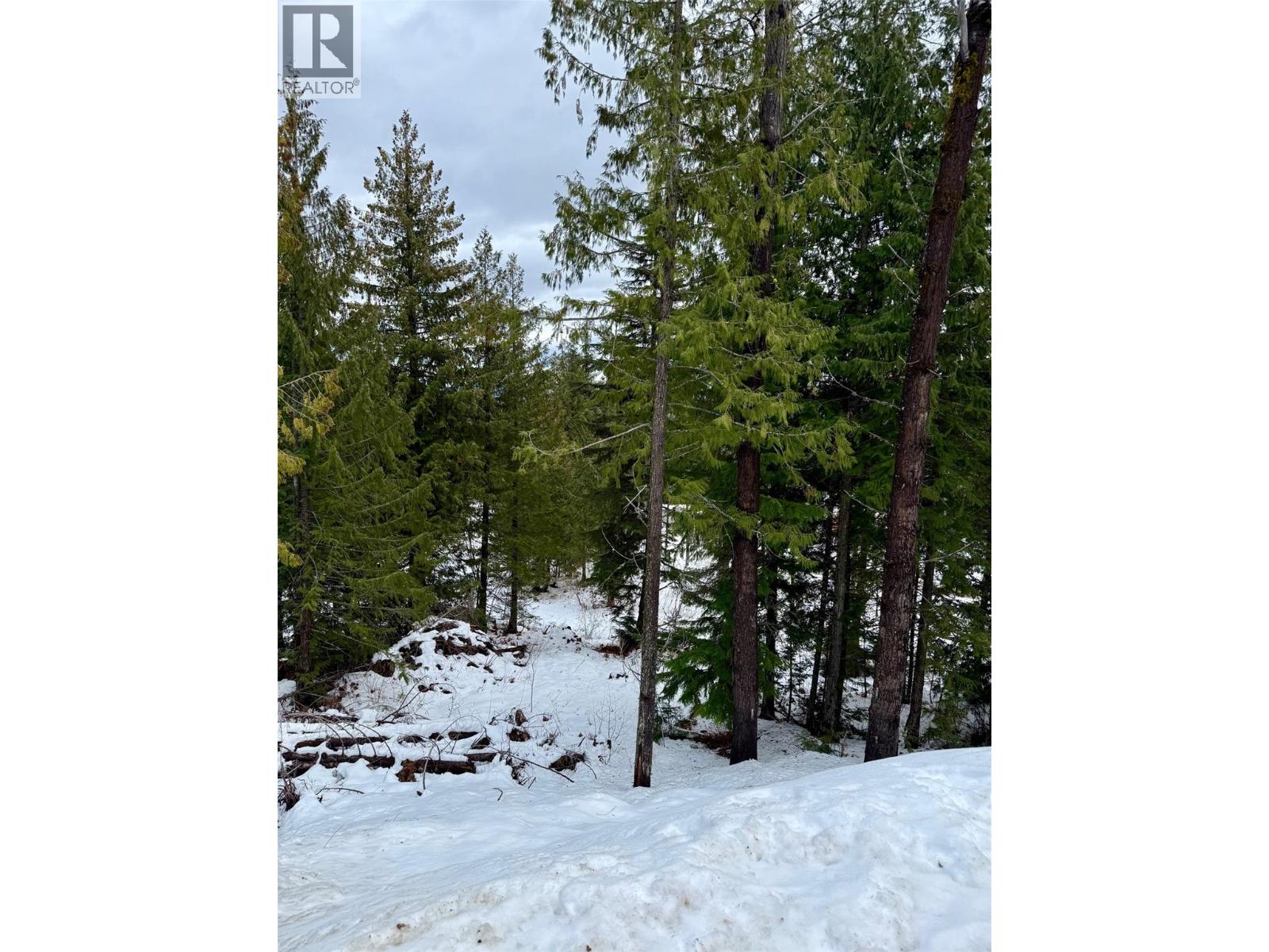 106 Topping Terrace, Rossland, British Columbia  V0G 1Y0 - Photo 12 - 10371021