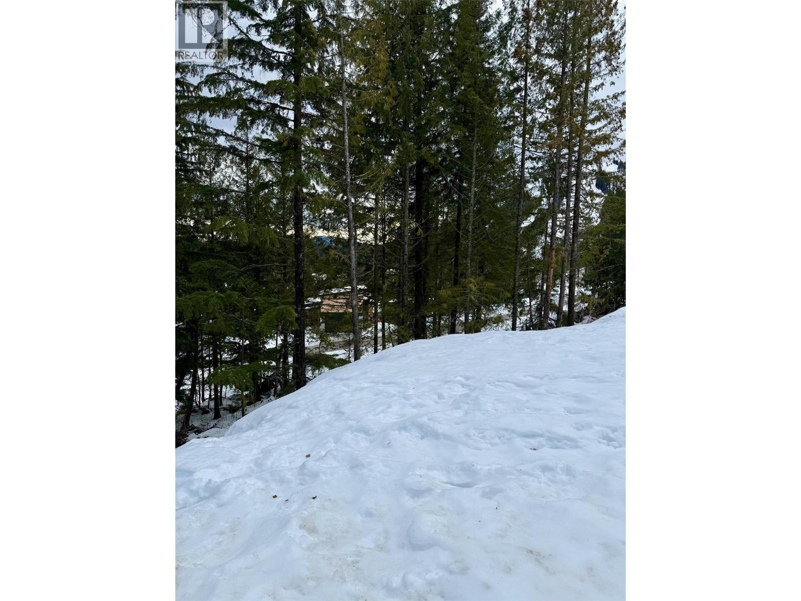 106 Topping Terrace, Rossland, British Columbia  V0G 1Y0 - Photo 14 - 10371021