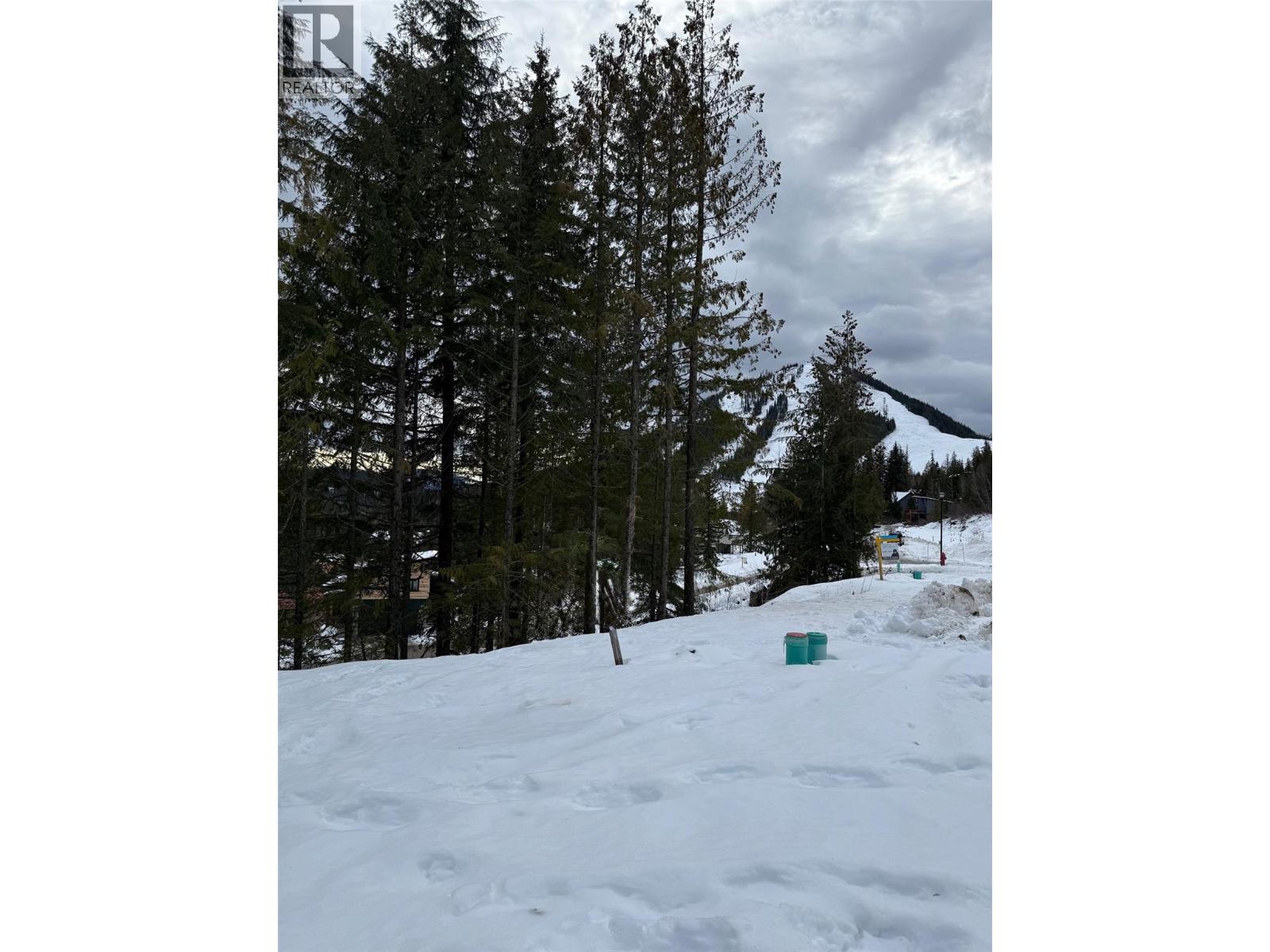 106 Topping Terrace, Rossland, British Columbia  V0G 1Y0 - Photo 15 - 10371021
