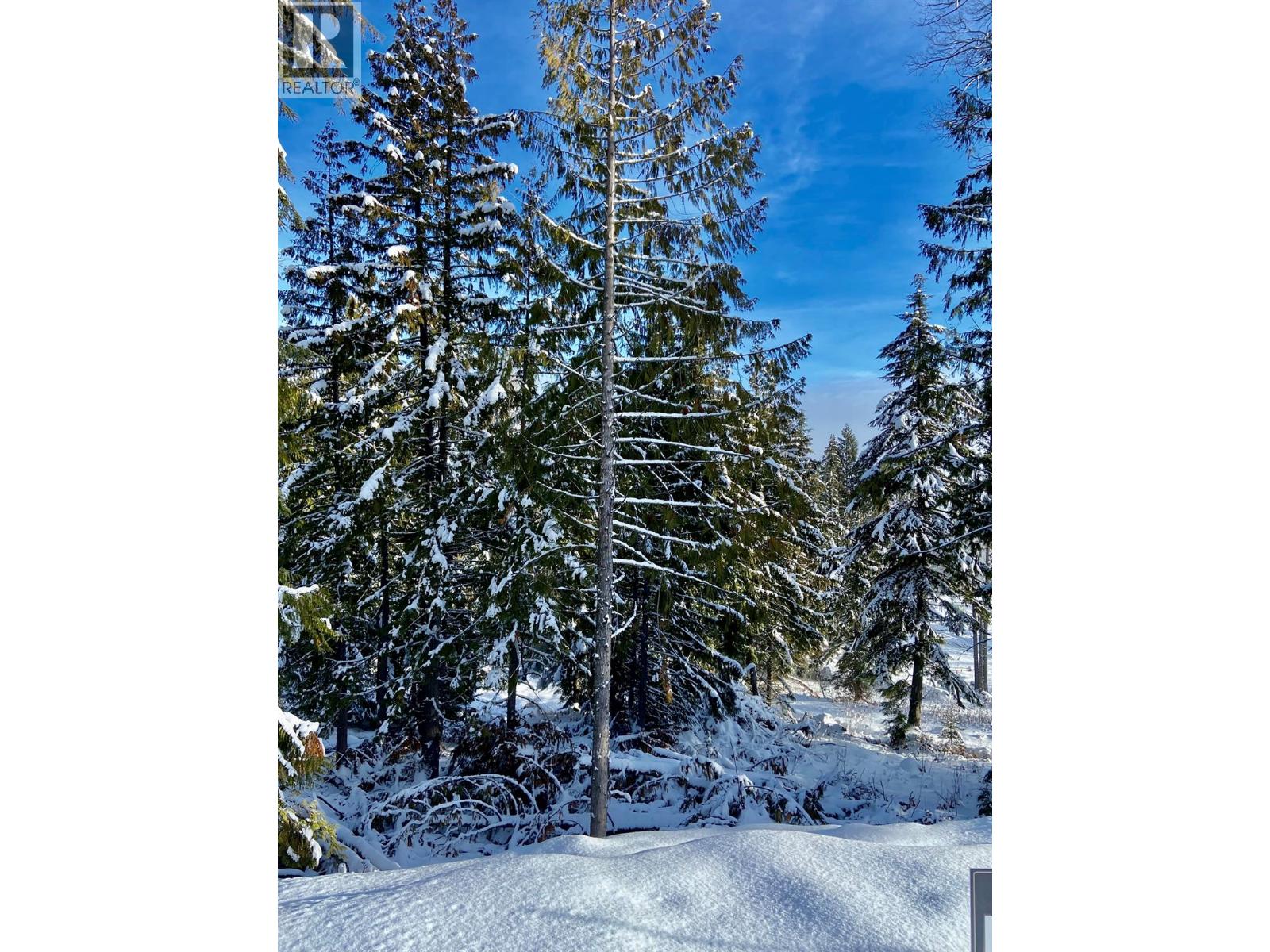 106 Topping Terrace, Rossland, British Columbia  V0G 1Y0 - Photo 3 - 10371021