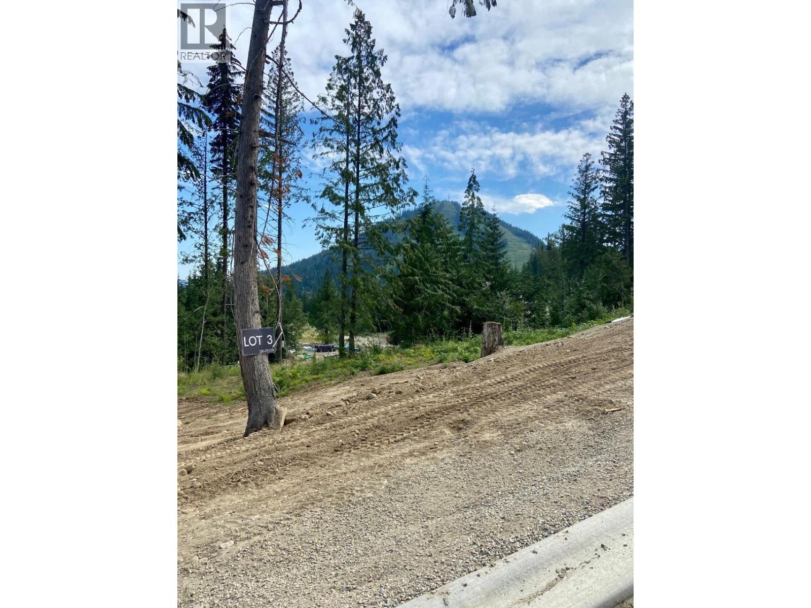 308 Ridge Road, Rossland, British Columbia  V0G 1Y0 - Photo 7 - 10371162