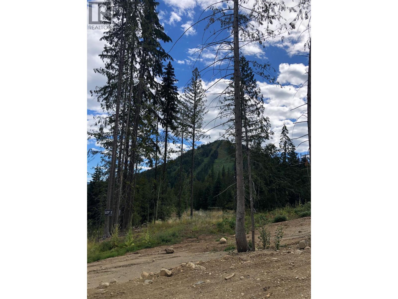 312 Ridge Road, Rossland, British Columbia  V0G 1Y0 - Photo 12 - 10371154
