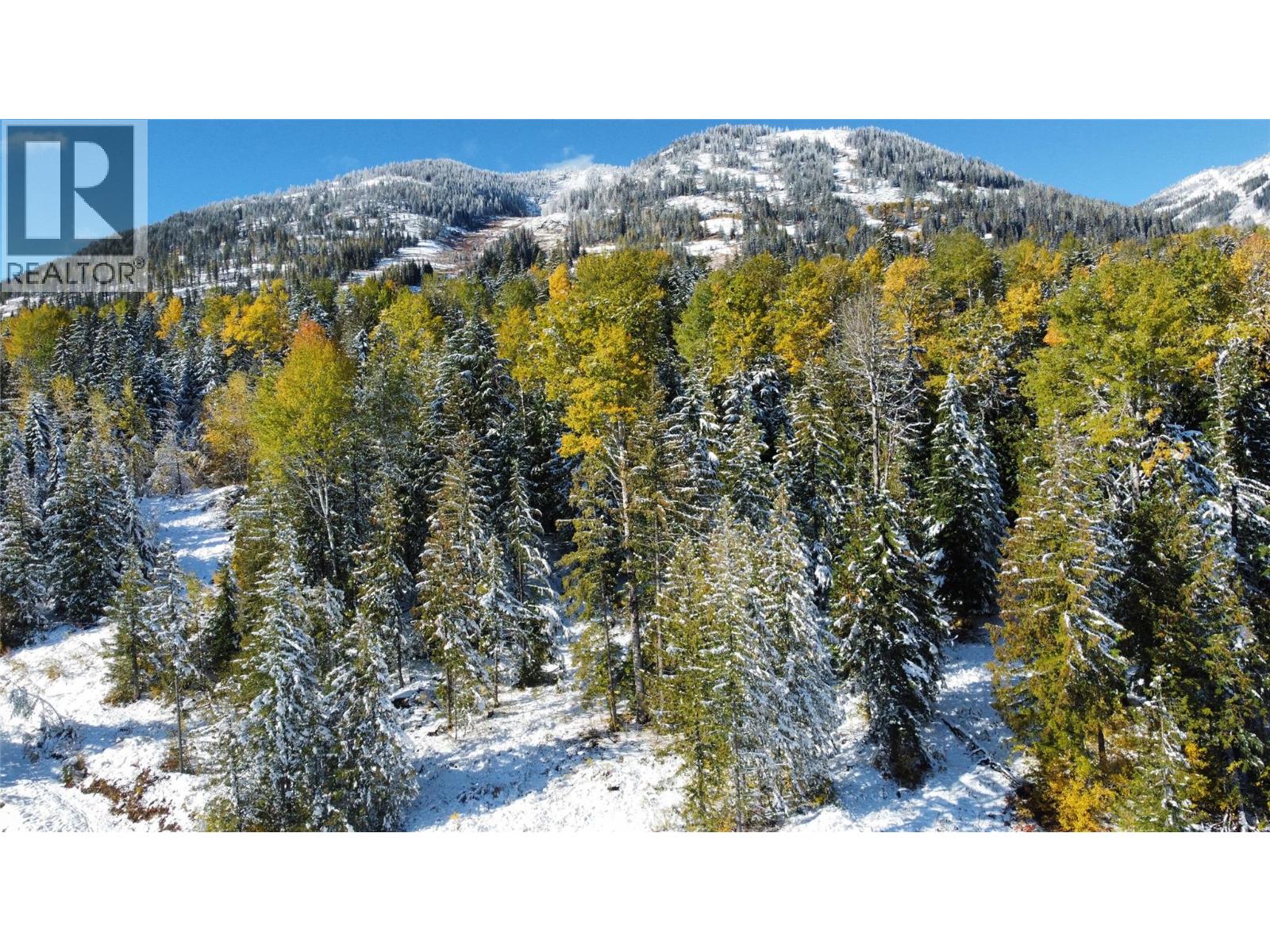 110 Topping Terrace, Rossland, British Columbia  V0G 1Y0 - Photo 3 - 10371018