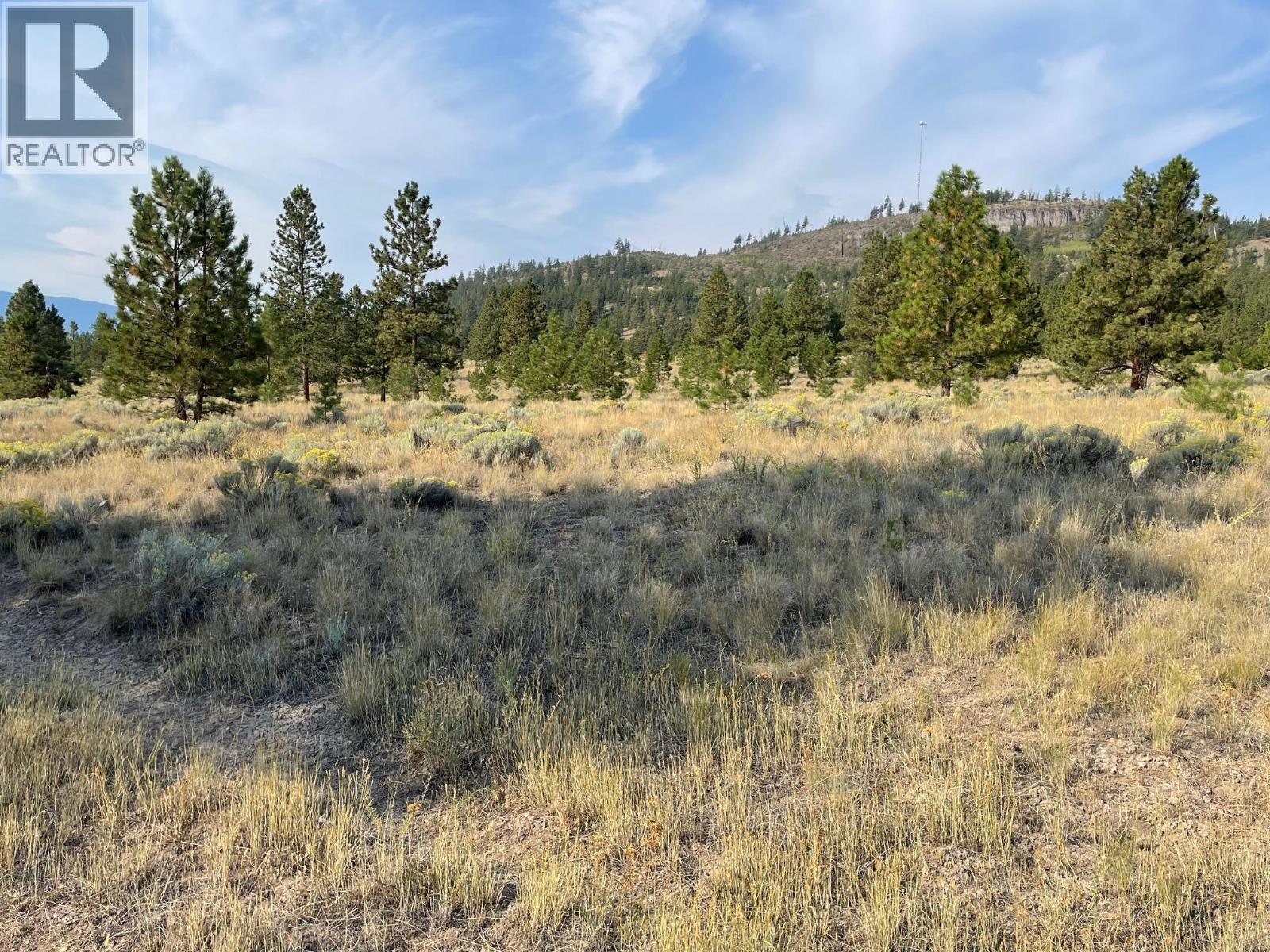 923 Midday Valley Road, Merritt, British Columbia  V1K 0A3 - Photo 3 - 10371288
