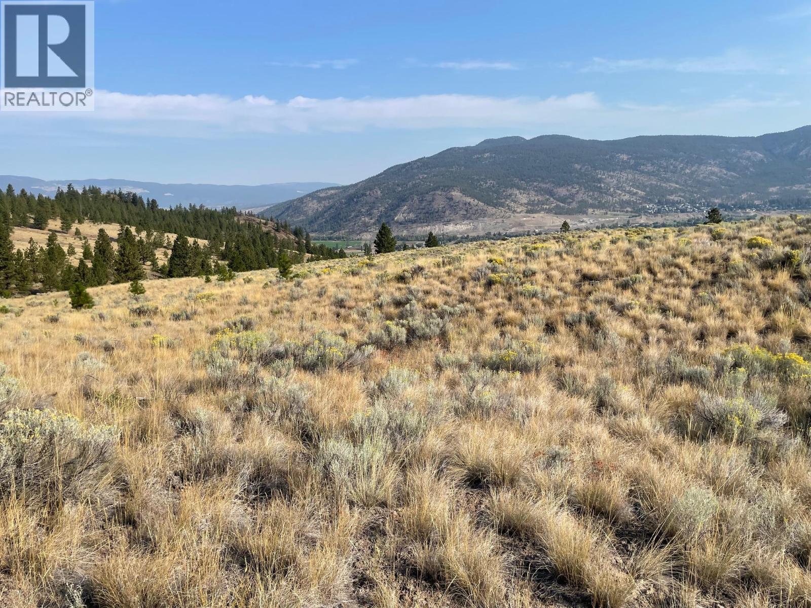 923 Midday Valley Road, Merritt, British Columbia  V1K 0A3 - Photo 6 - 10371288