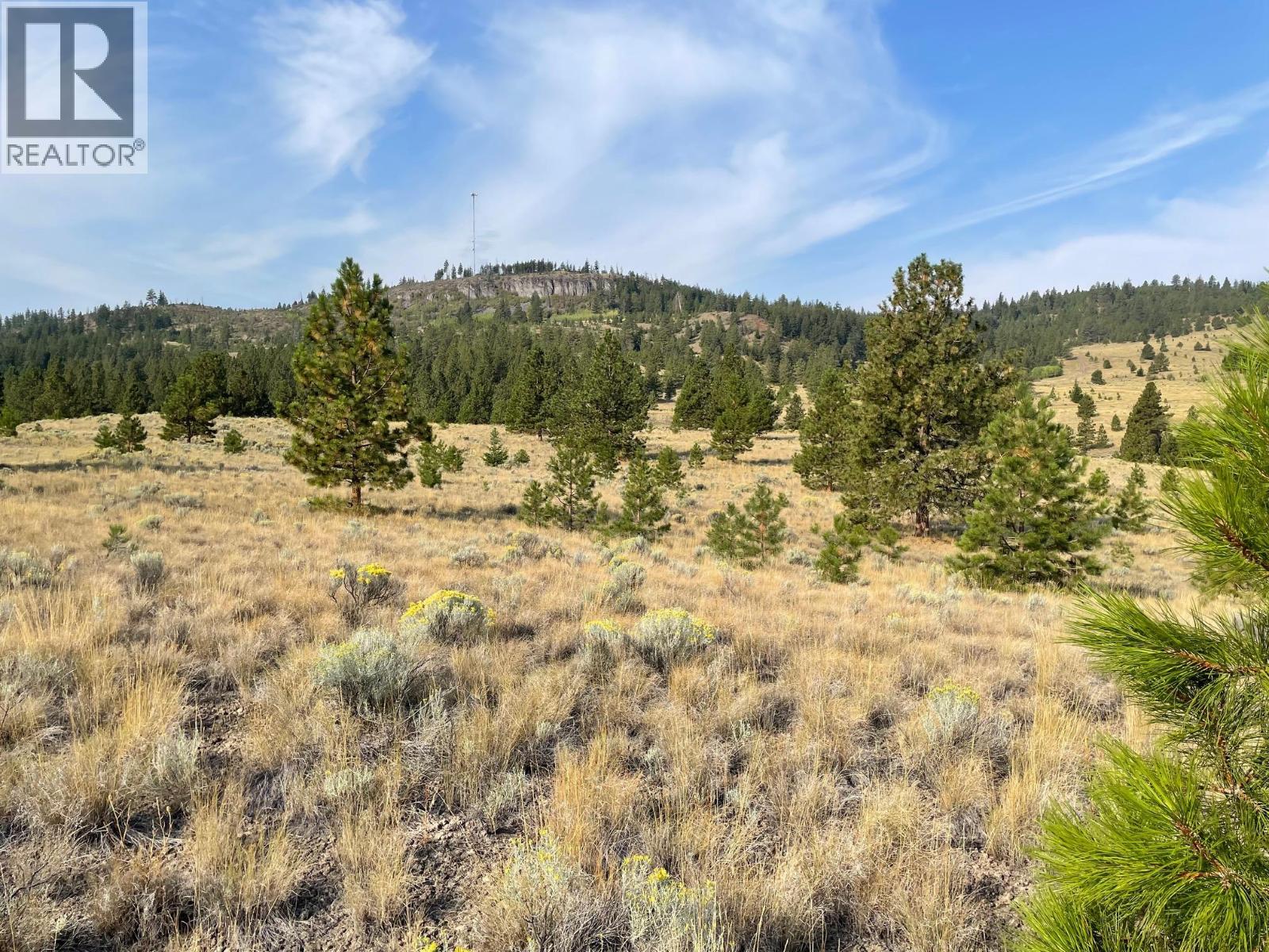 923 Midday Valley Road, Merritt, British Columbia  V1K 0A3 - Photo 7 - 10371288