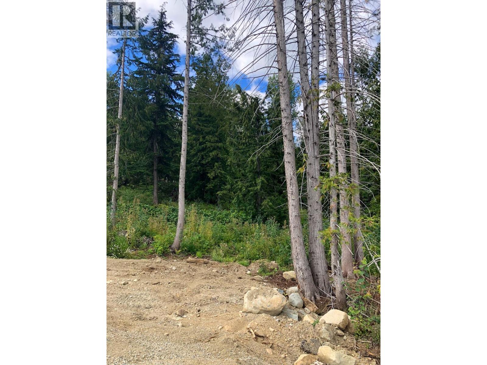 311 Ridge Road, Rossland, British Columbia  V0G 1Y0 - Photo 6 - 10371163