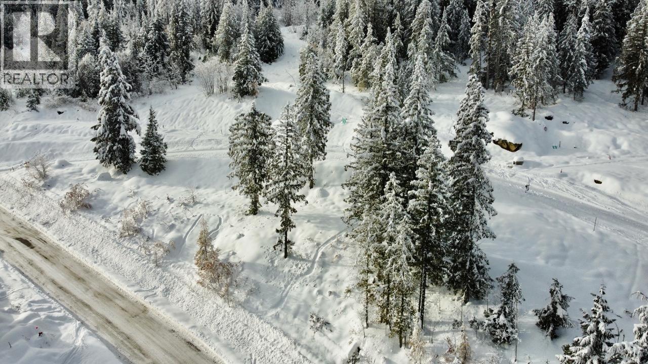 302 Ridge Road, Rossland, British Columbia  V0G 1Y0 - Photo 6 - 10371221