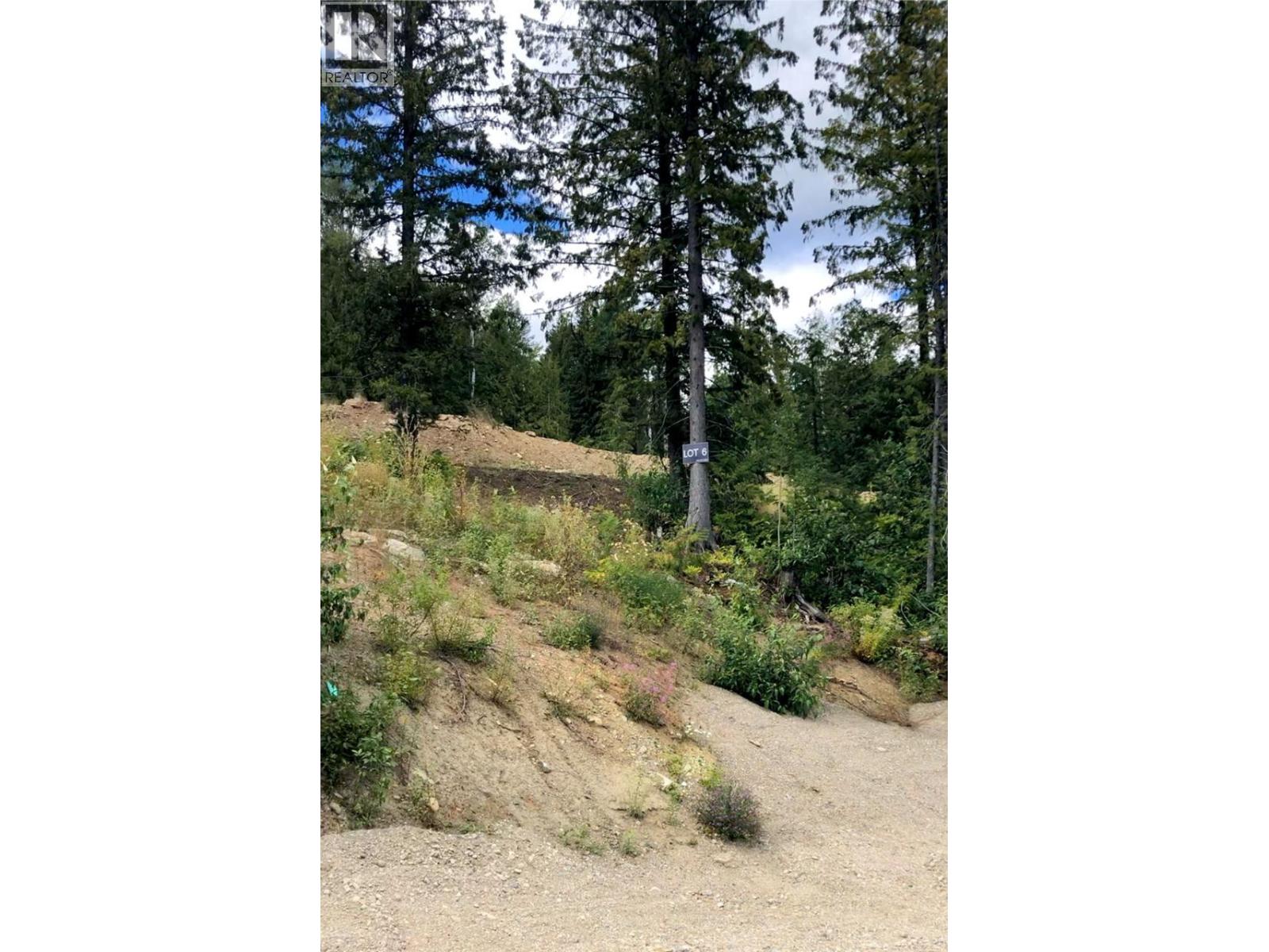 302 Ridge Road, Rossland, British Columbia  V0G 1Y0 - Photo 8 - 10371221
