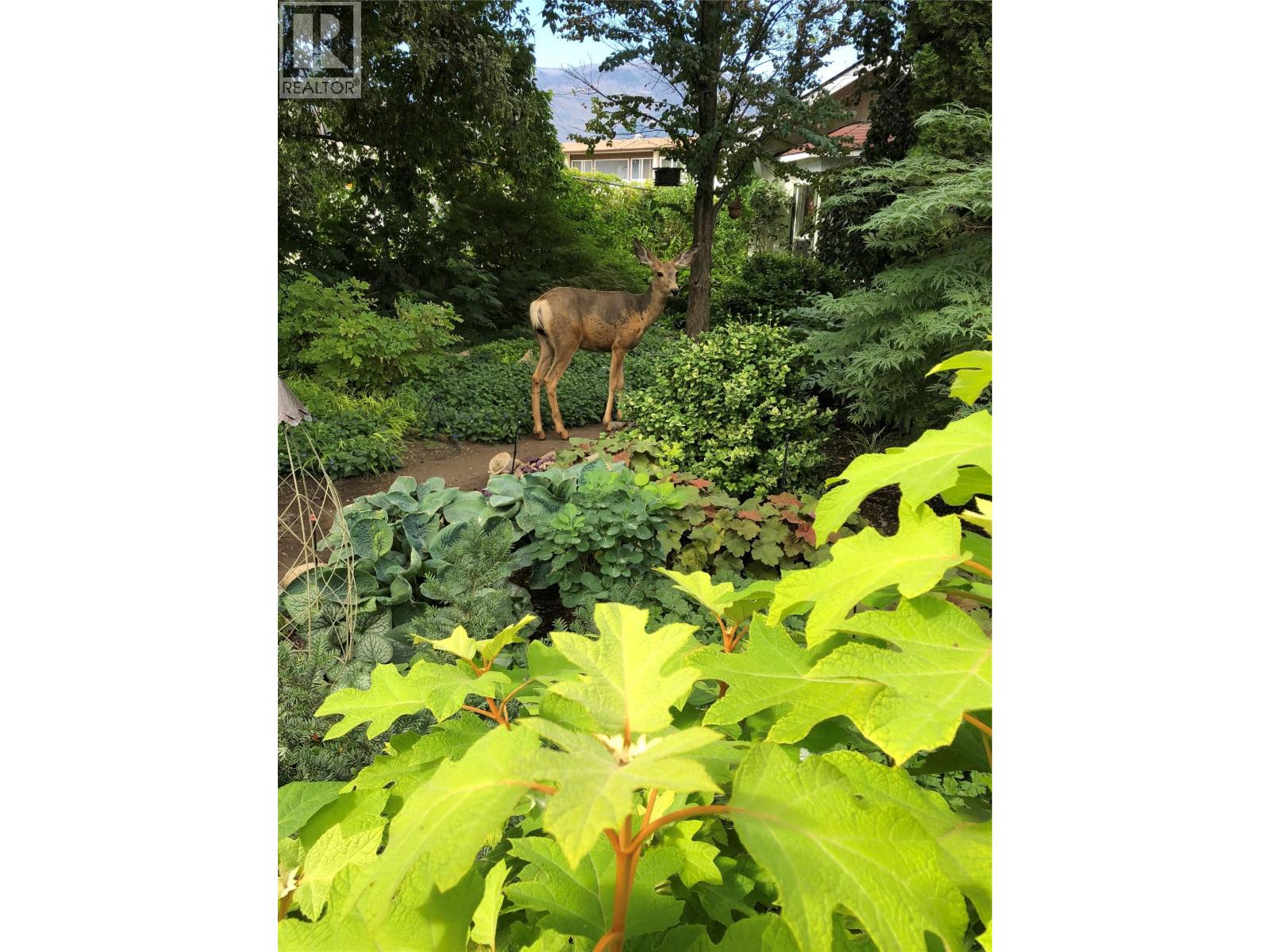 5826 Main Street, Oliver, British Columbia  V0H 1T9 - Photo 27 - 10371230