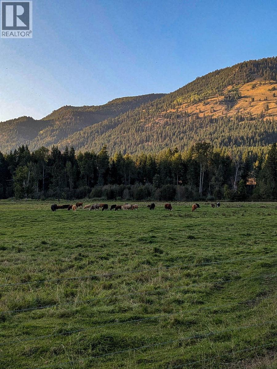 1519 Highway 6 Highway, Cherryville, British Columbia  V0E 2G1 - Photo 43 - 10371130