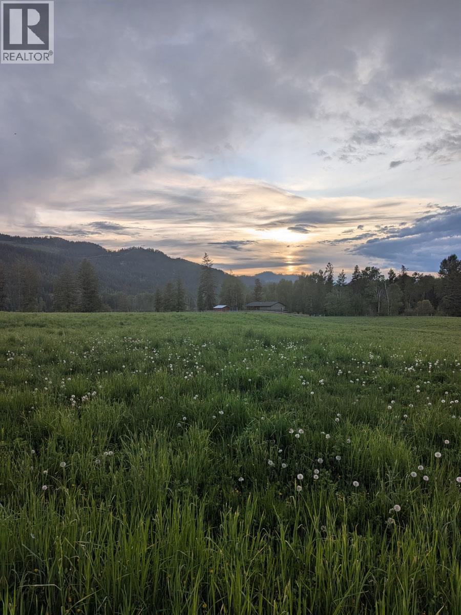 1519 Highway 6 Highway, Cherryville, British Columbia  V0E 2G1 - Photo 45 - 10371130