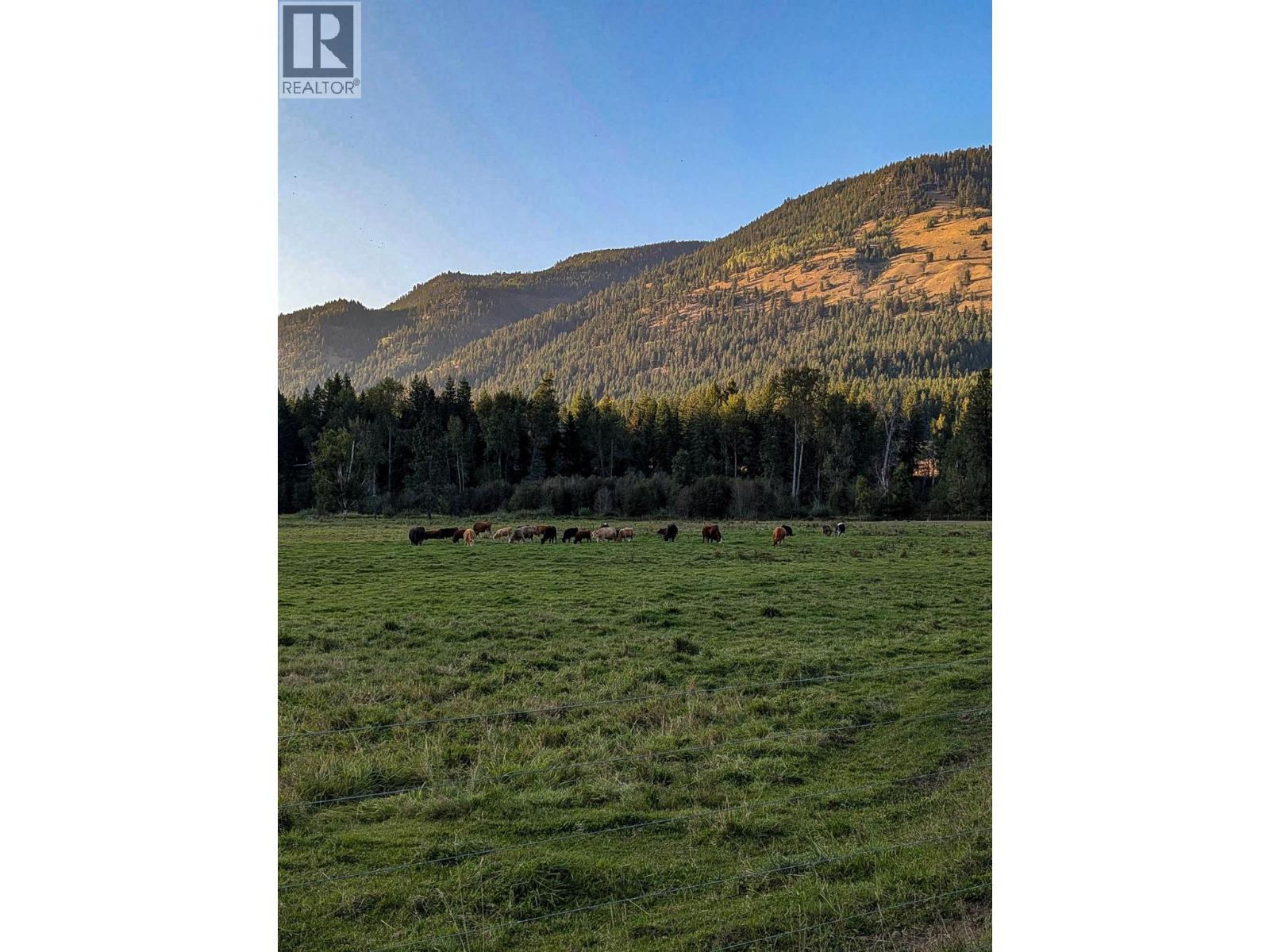 1519 Highway 6, 26 Byers Road, Cherryville, British Columbia  V0E 2G1 - Photo 75 - 10371129