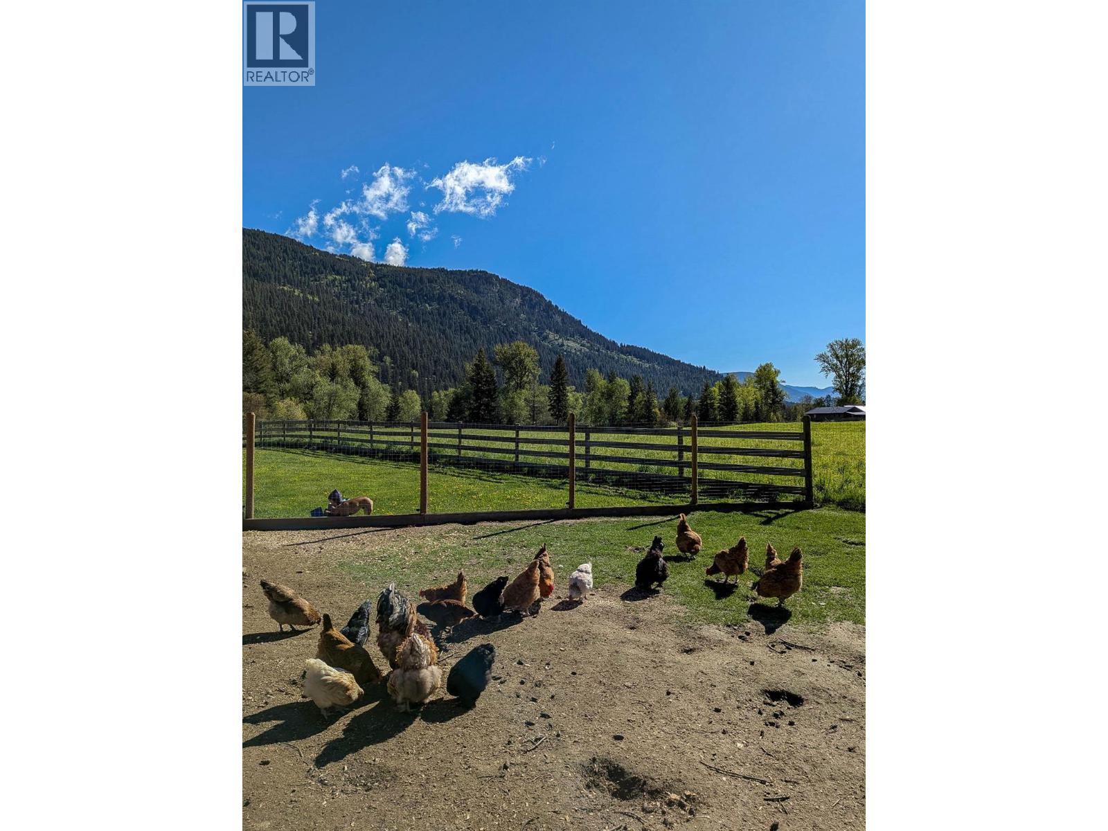 1519 Highway 6, 26 Byers Road, Cherryville, British Columbia  V0E 2G1 - Photo 76 - 10371129