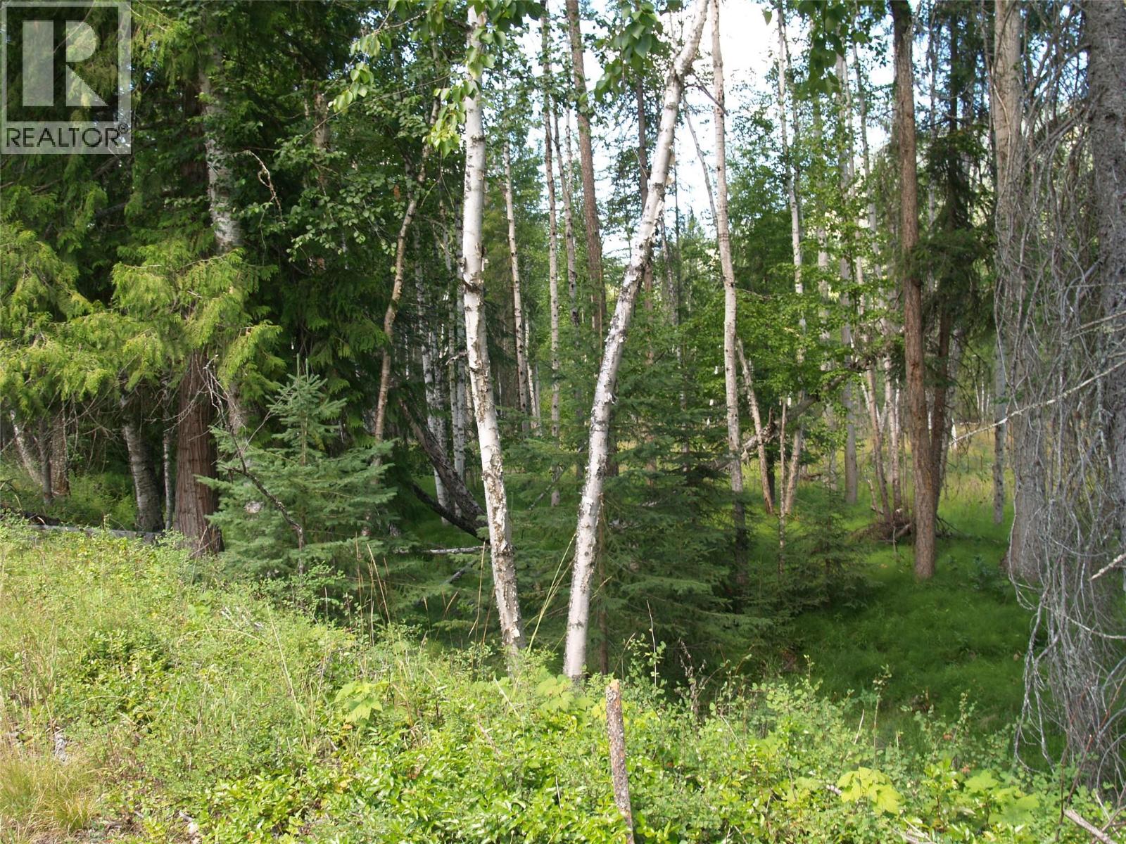 River Stone Road Lot# Lot D, Cherryville, British Columbia  V0E 2G1 - Photo 15 - 10371454