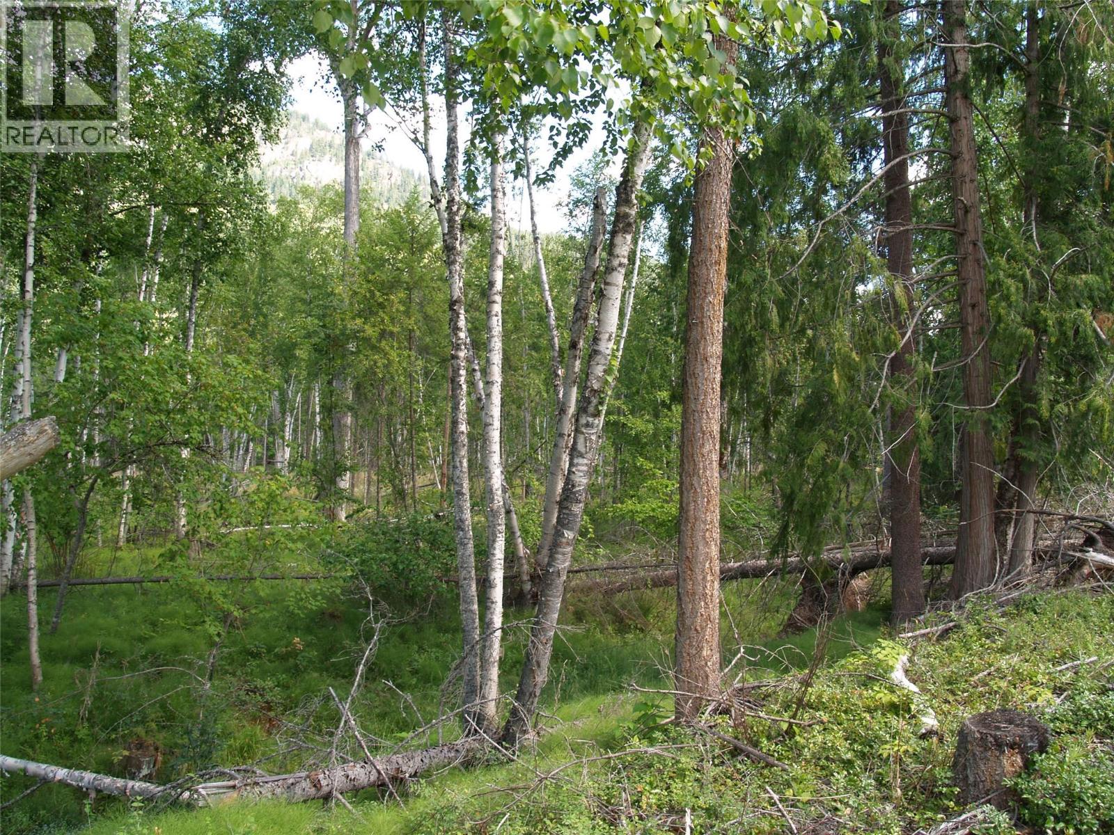 River Stone Road Lot# Lot D, Cherryville, British Columbia  V0E 2G1 - Photo 16 - 10371454