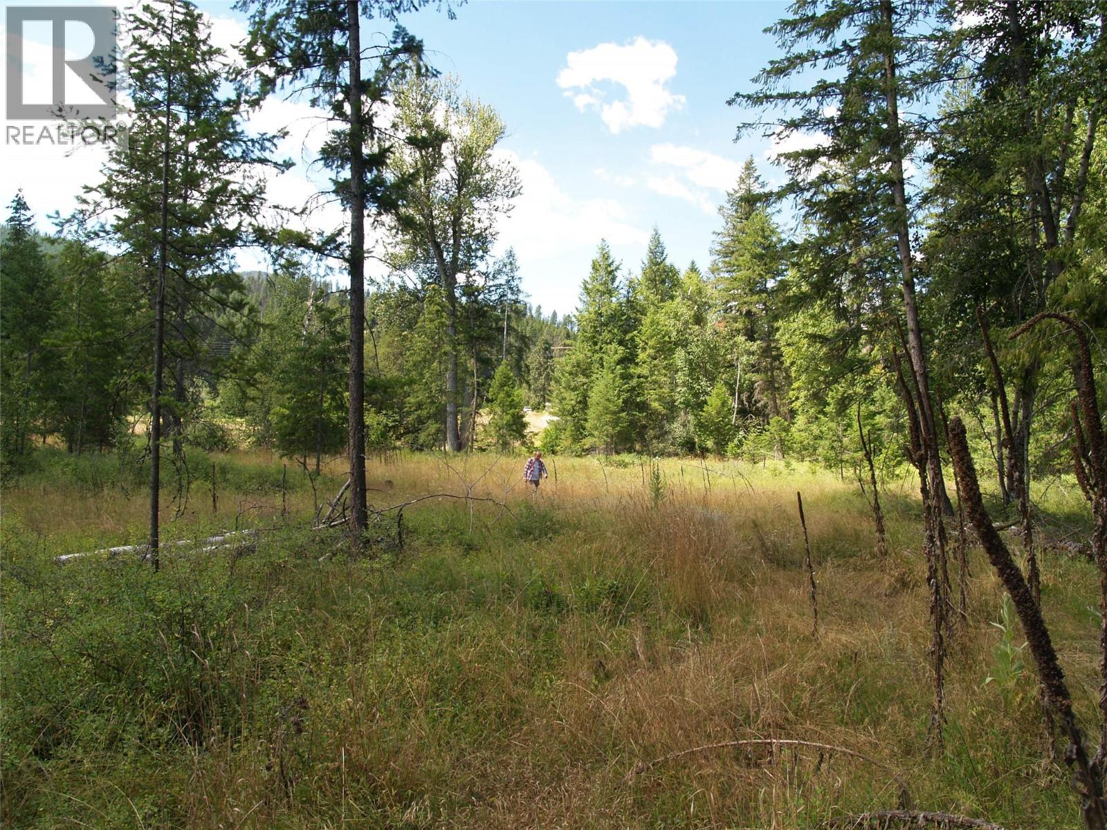 River Stone Road Lot# Lot D, Cherryville, British Columbia  V0E 2G1 - Photo 17 - 10371454