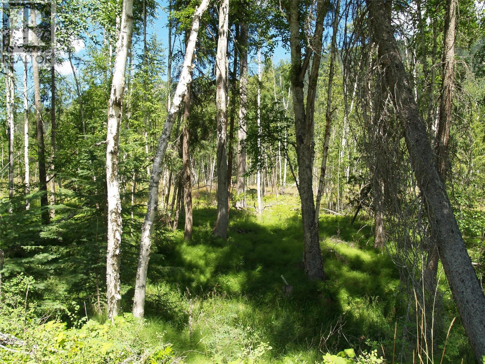 River Stone Road Lot# Lot D, Cherryville, British Columbia  V0E 2G1 - Photo 18 - 10371454
